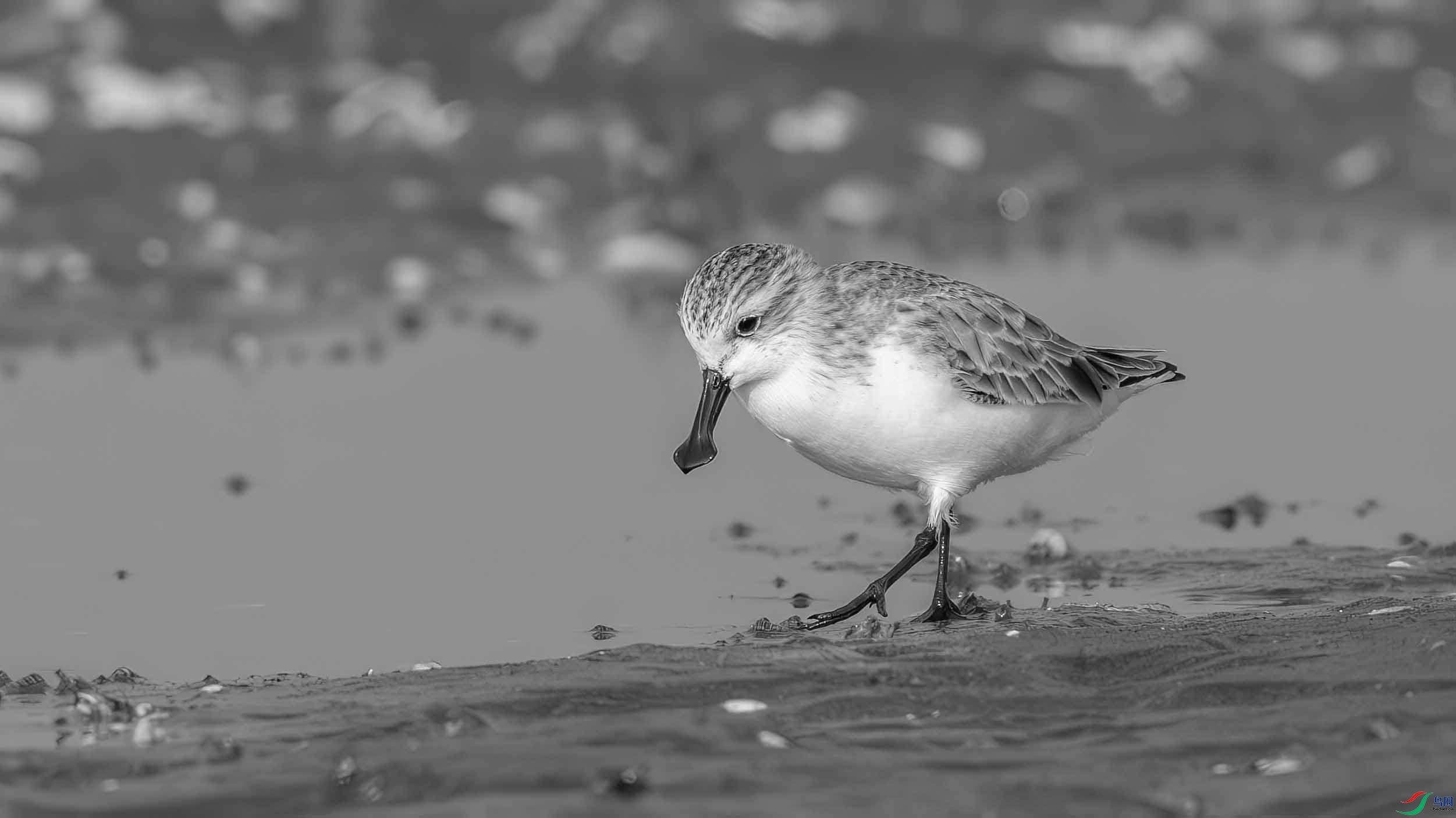 DSC07491-����ǿ-NR ���� 2.jpg