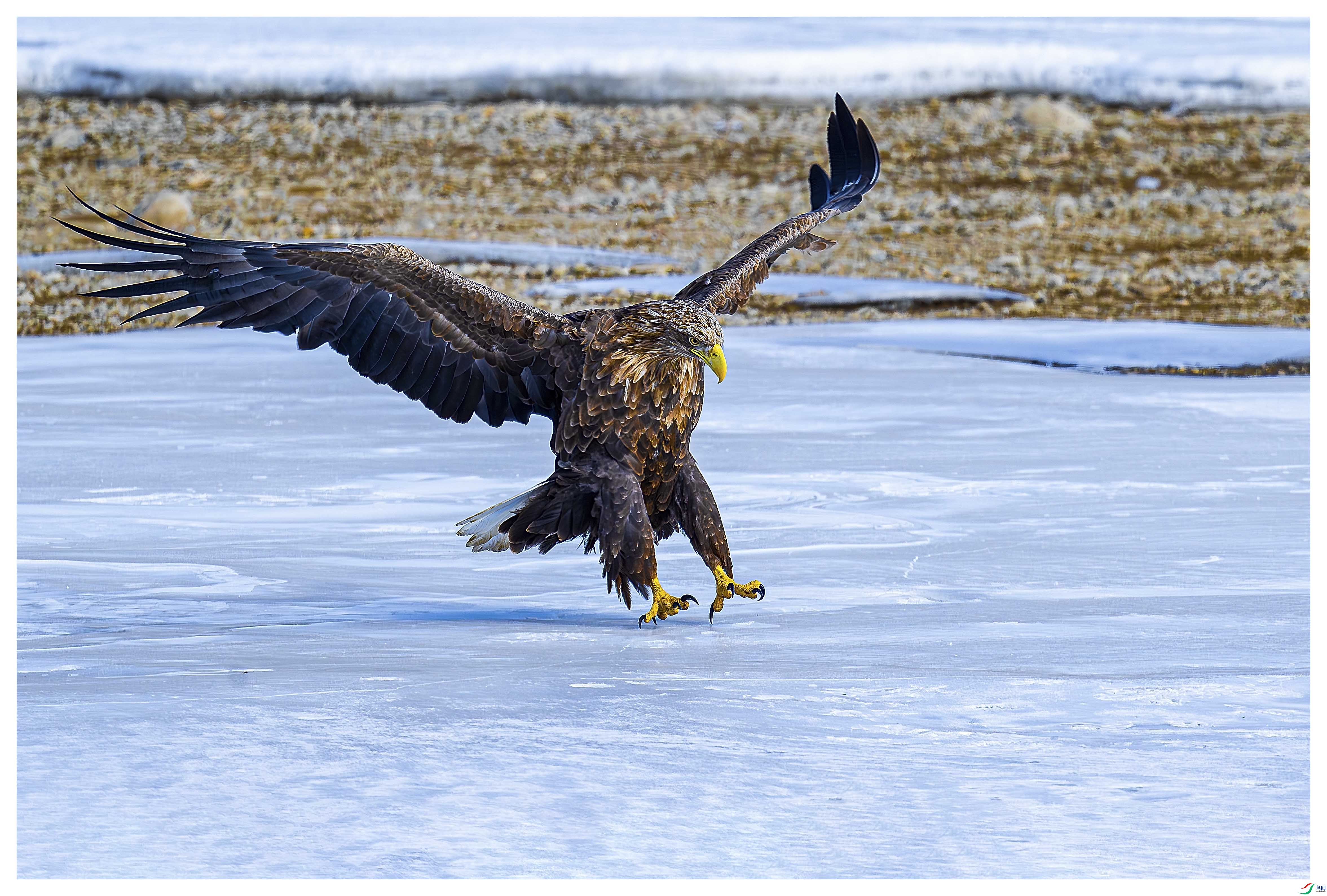 _DSC0828-����ǿ-NR ����.jpg