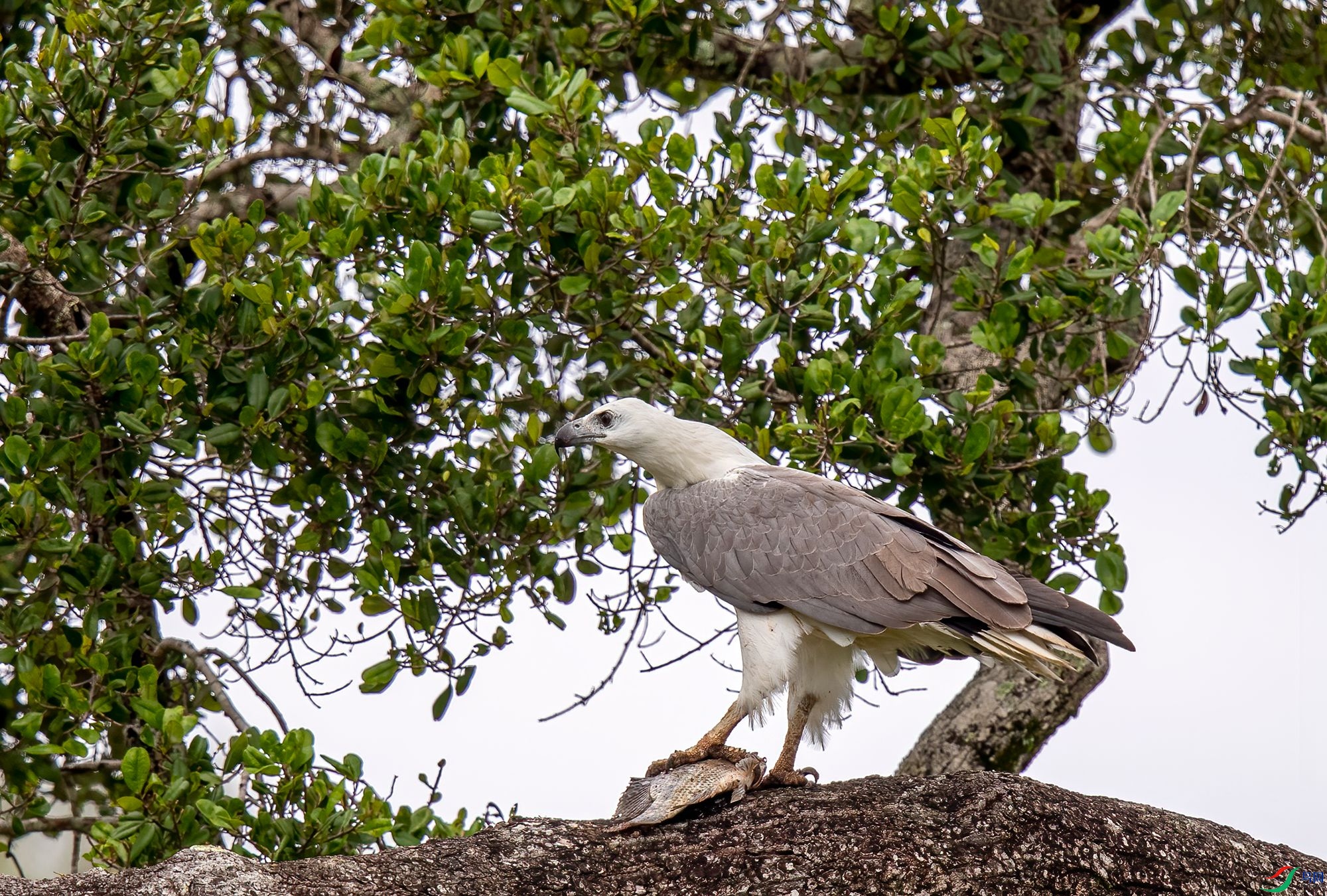 AC3I7403 ����_����.jpg