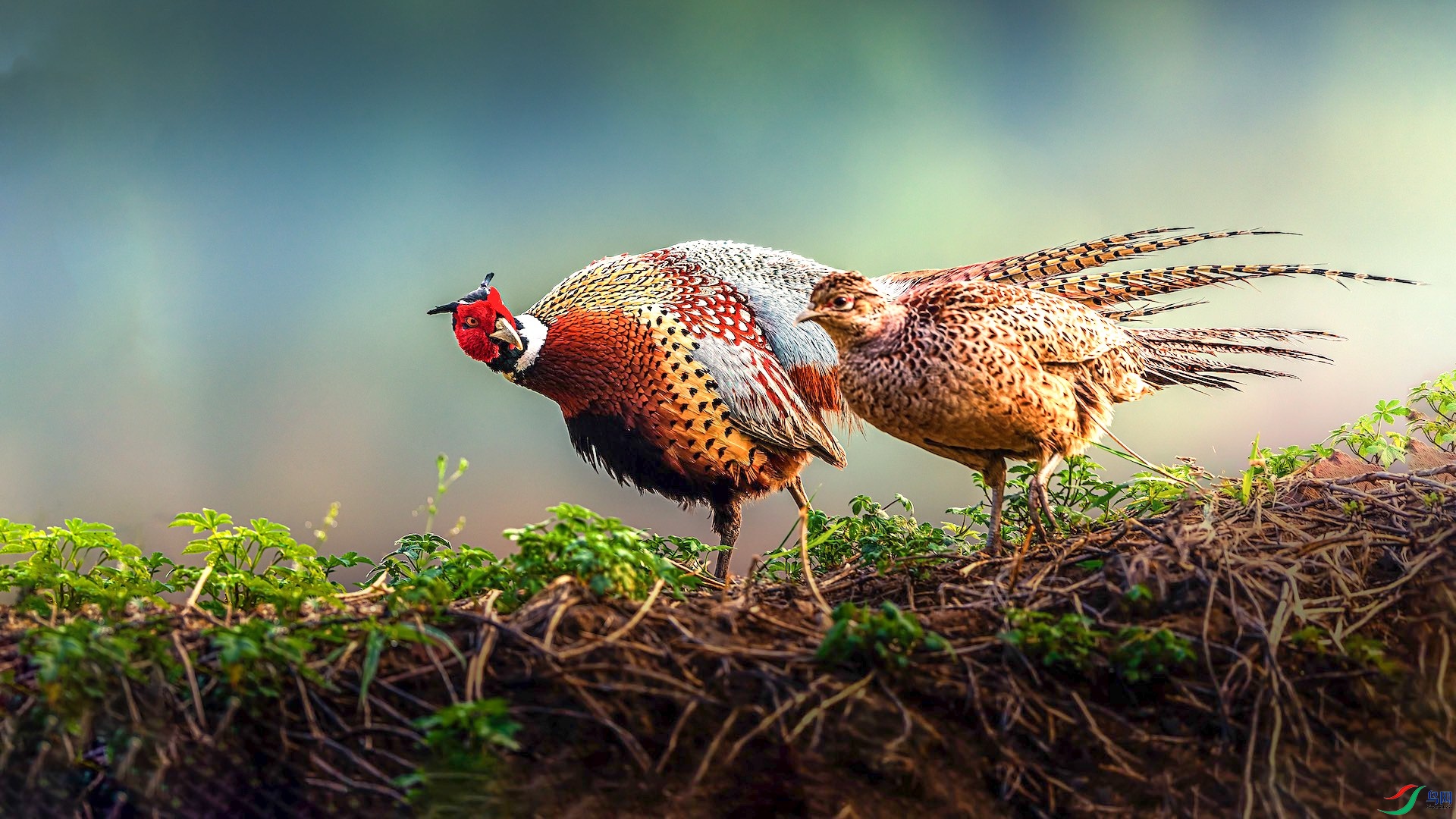 1_XXI5041-1-1 2-1.jpeg