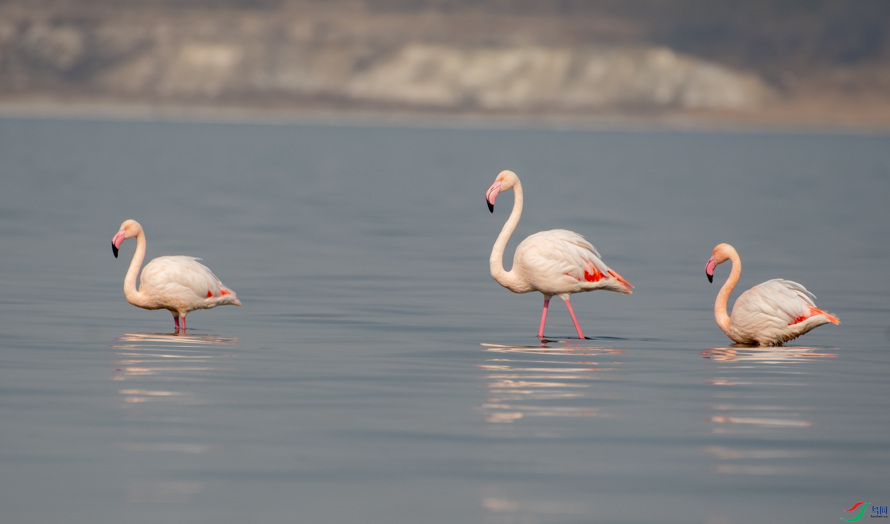 DSC_8169.jpg