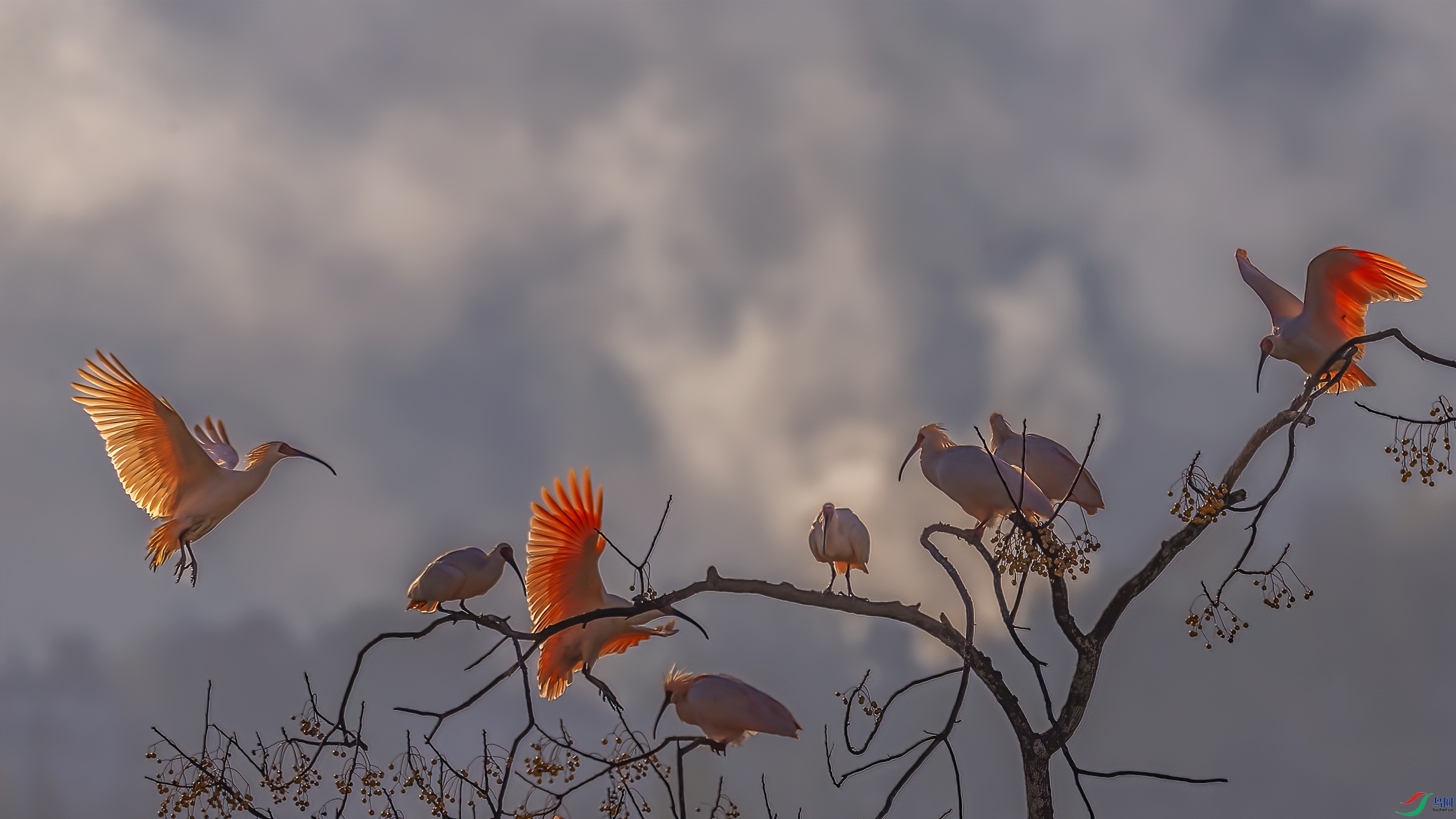 AE1V3981 ����.jpg