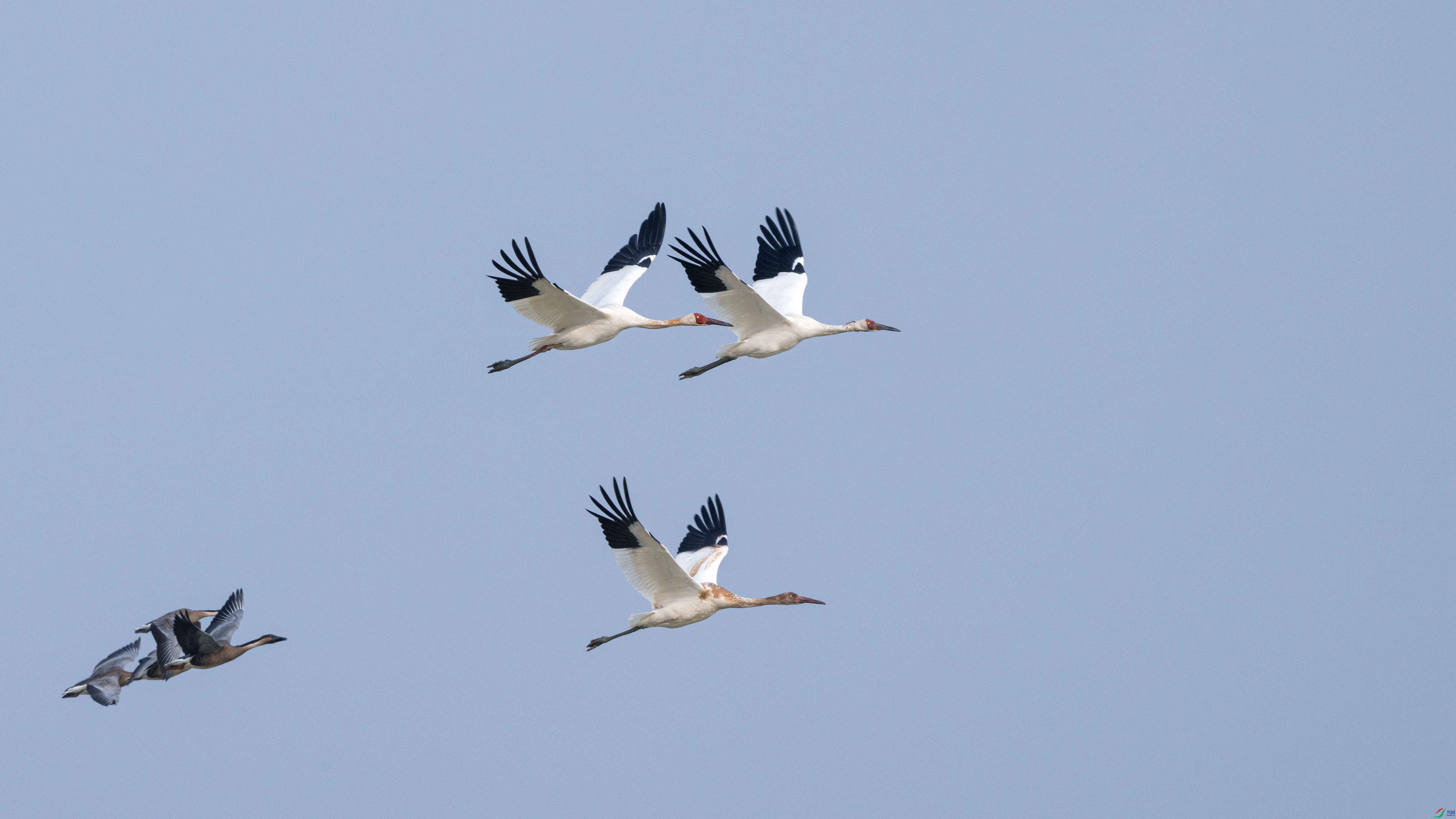 �����Ͽ�