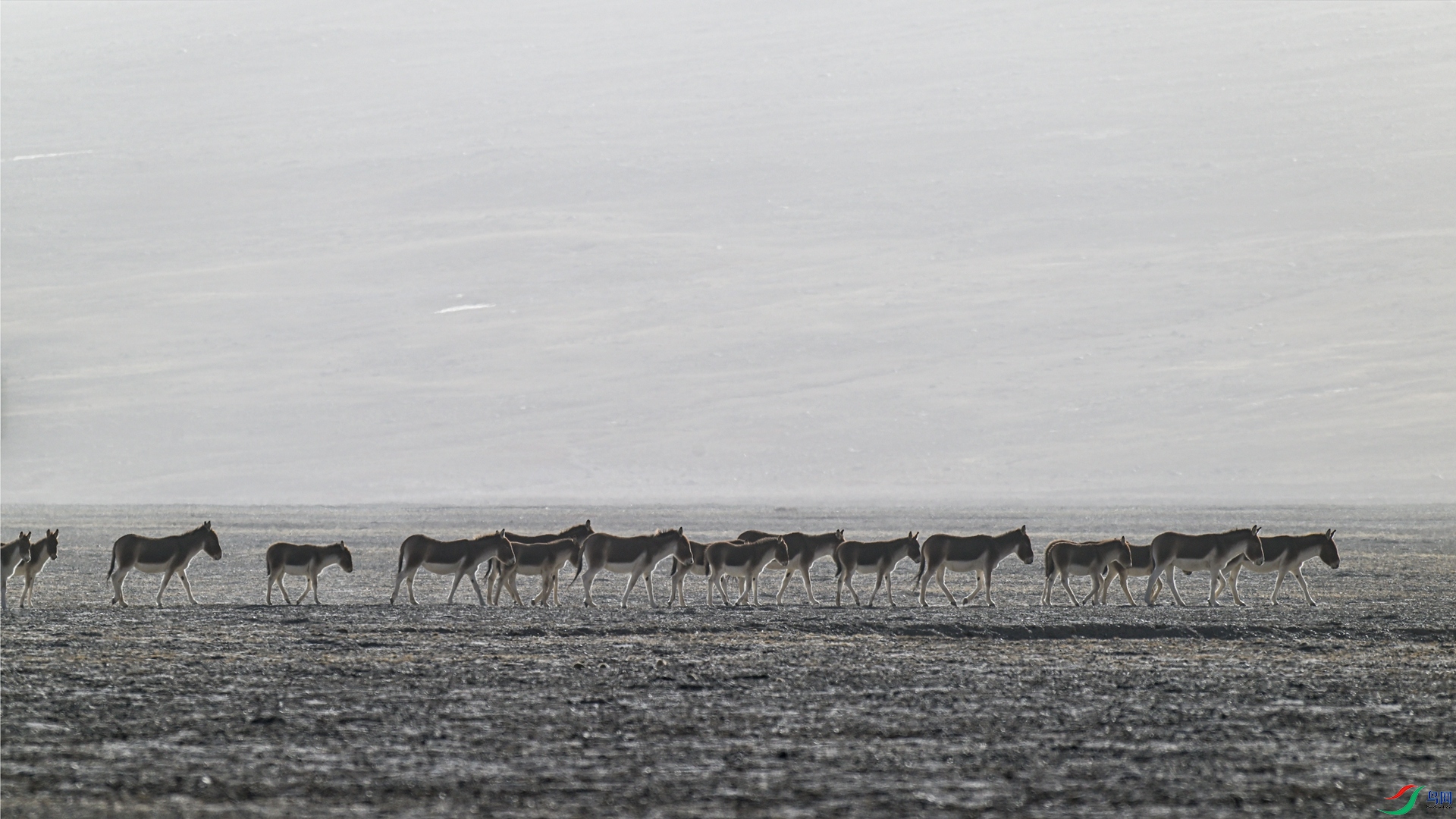 _DSC5956 ����_����.jpg