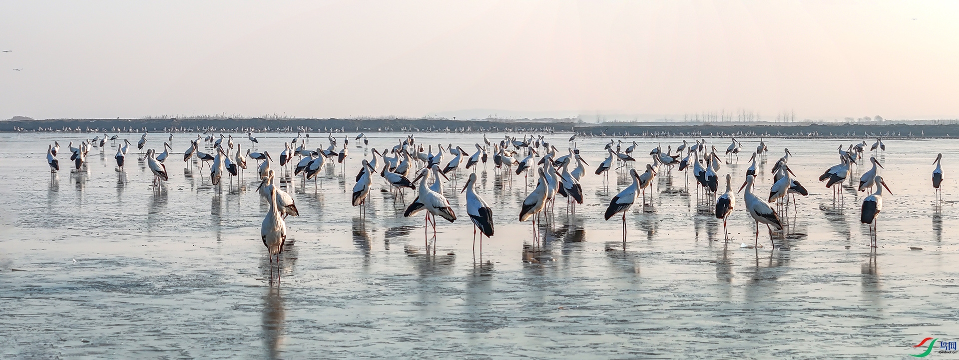 δ����_ȫ��ͼ-1---2  .jpg