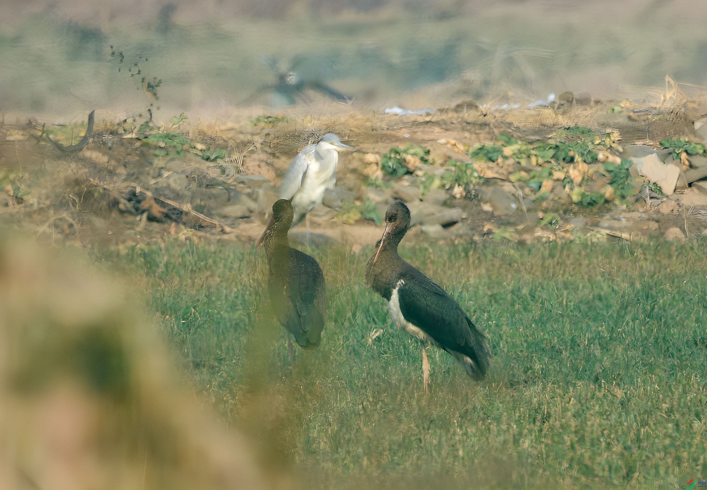 DSC_6844_01.JPG