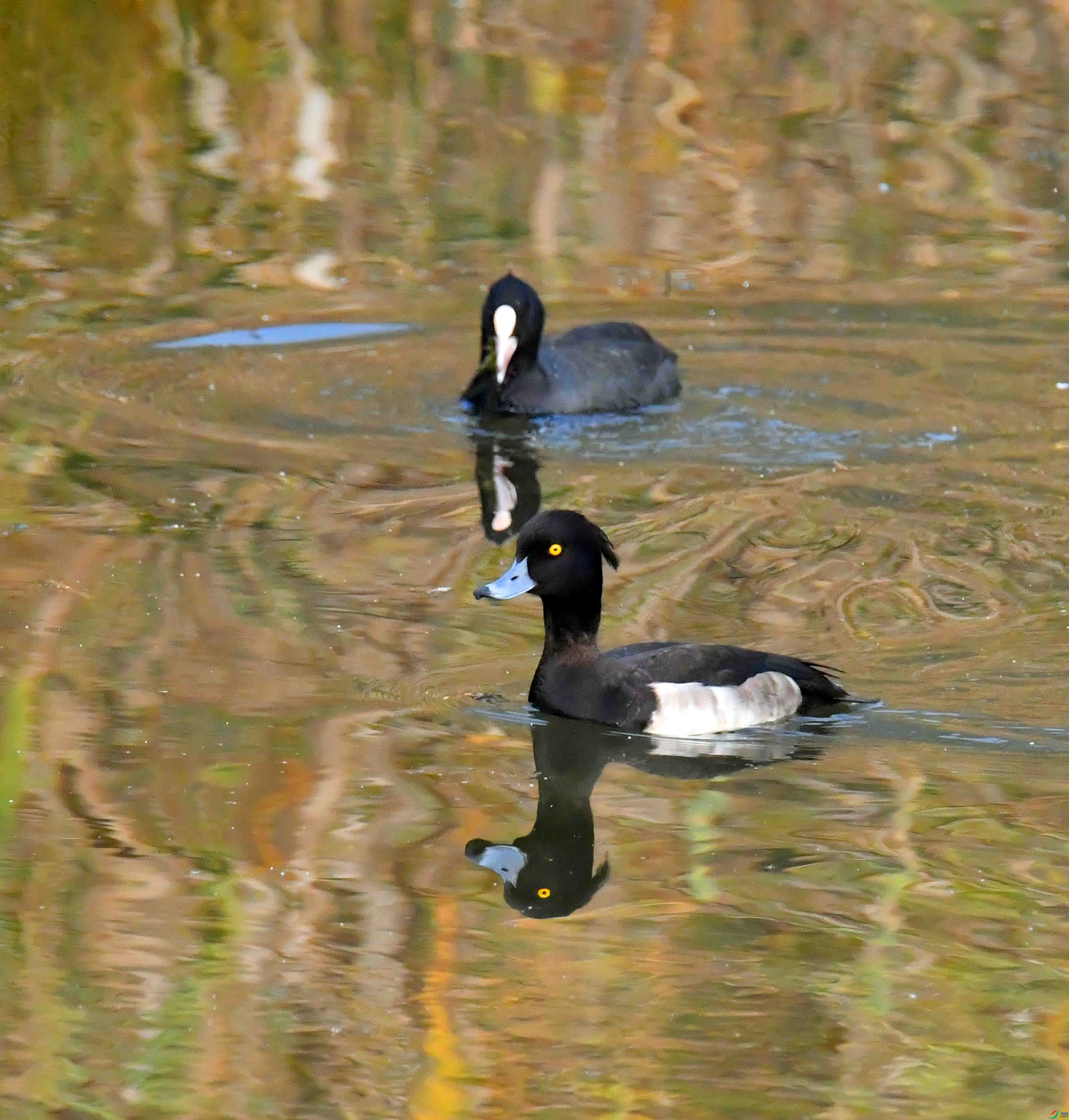 DSC_3542.JPG