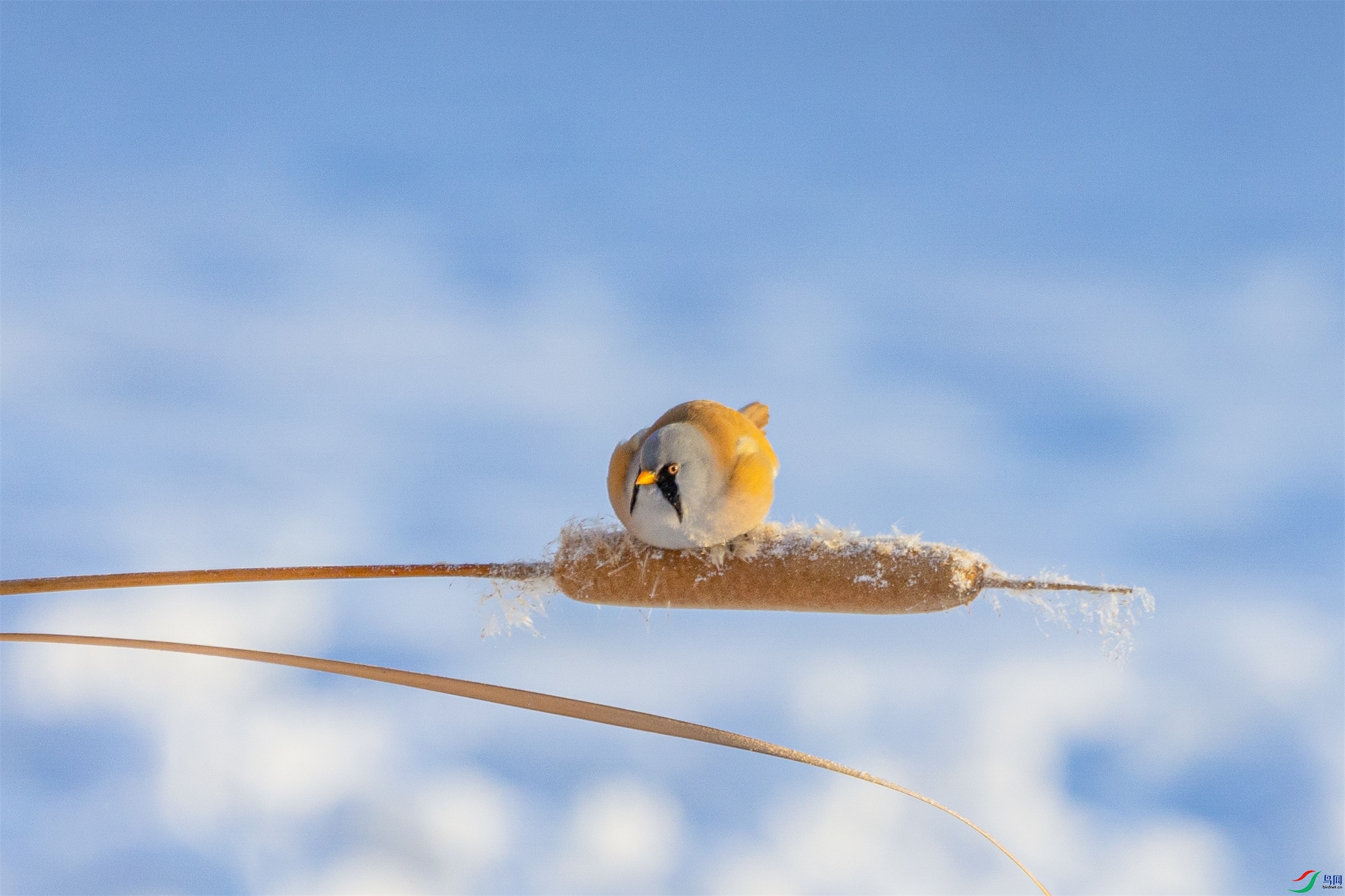 1K3A3307 ����1.jpg