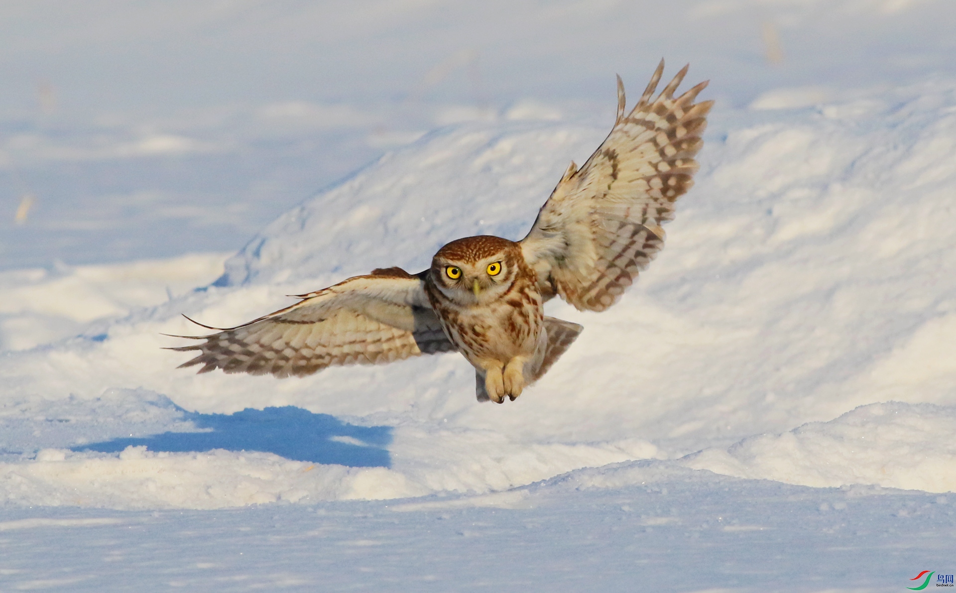 0G1A8209 ����.jpg