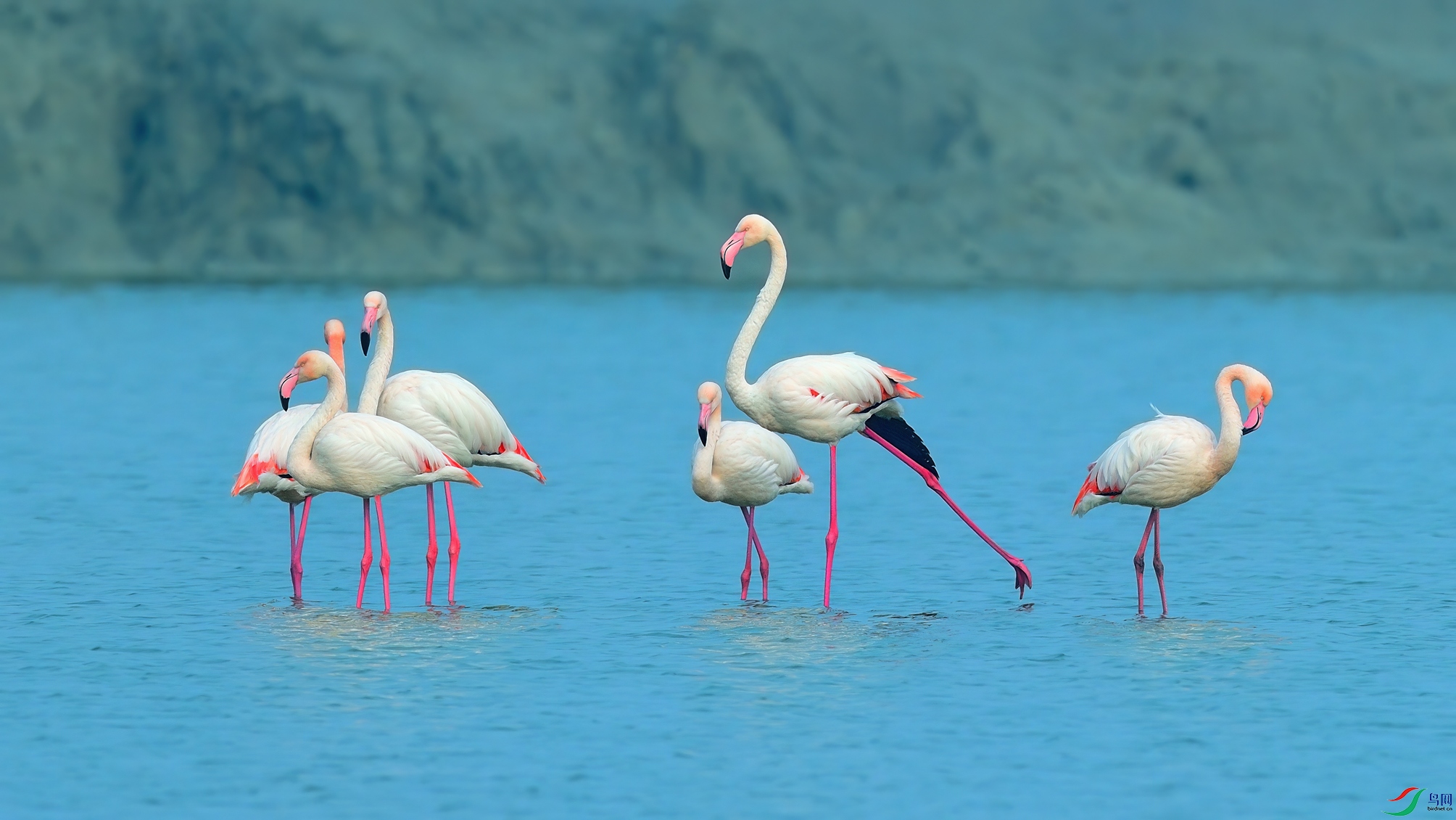 DSC_2013_�˳��κ��Ķ�������-����w.jpg