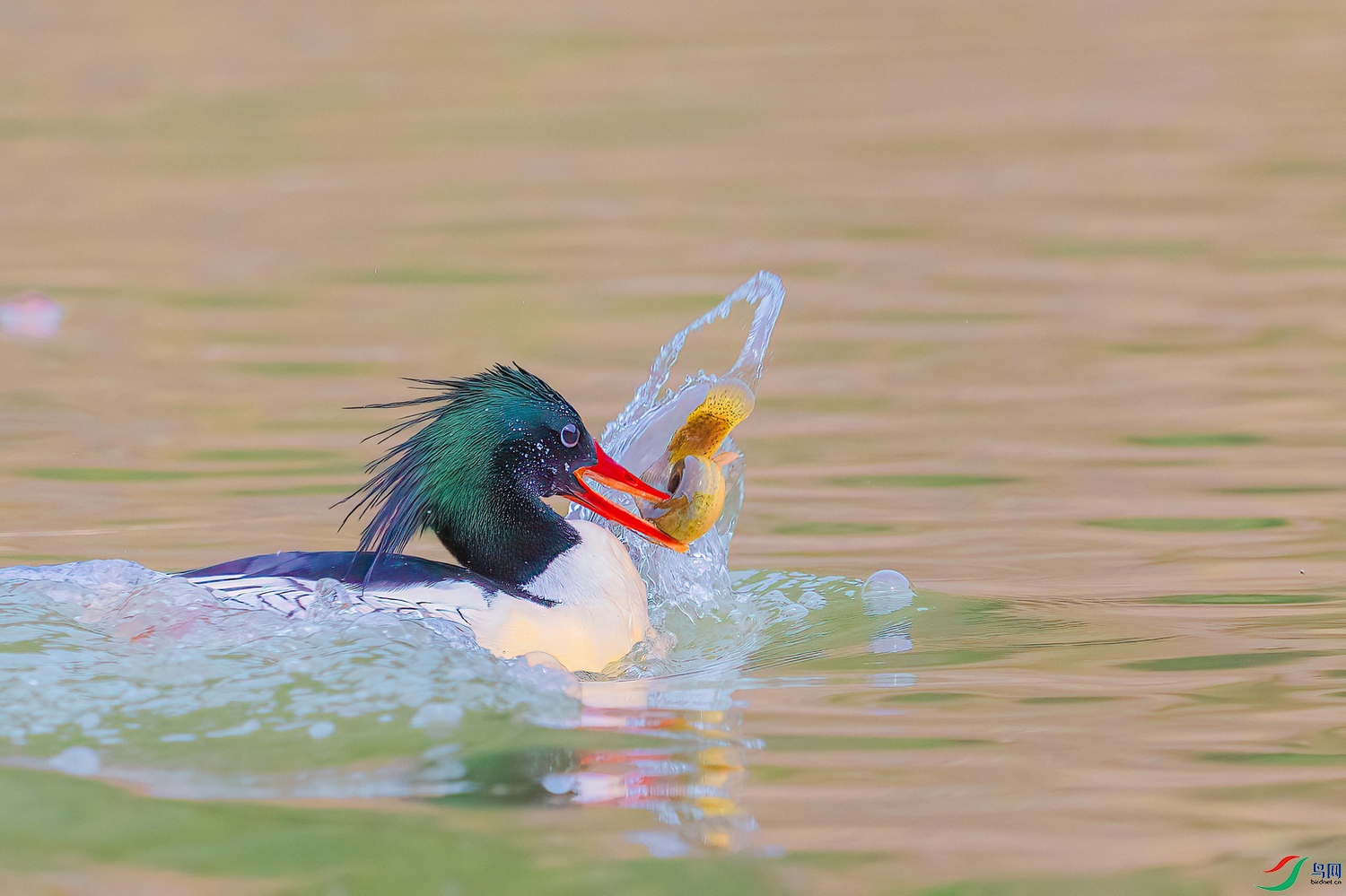 DSC_6893 ���� 200101.jpg