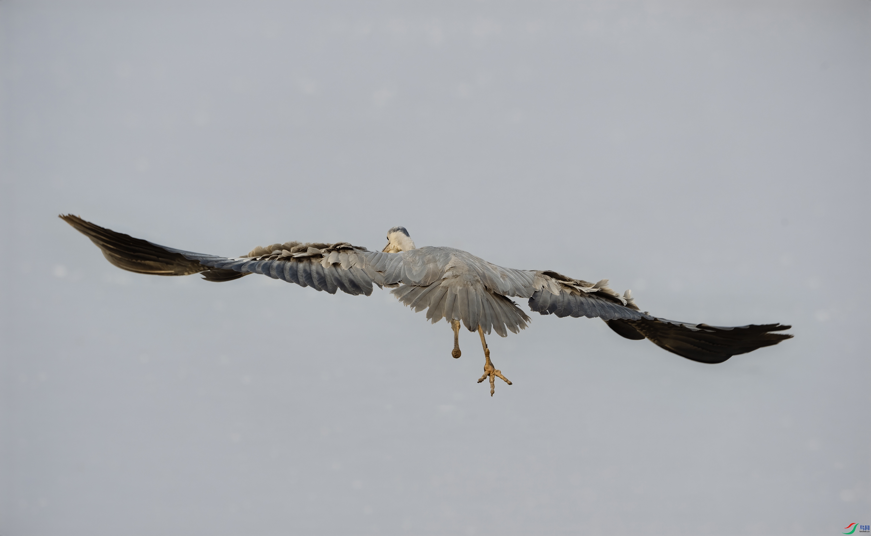 DSC06655 ����.jpg