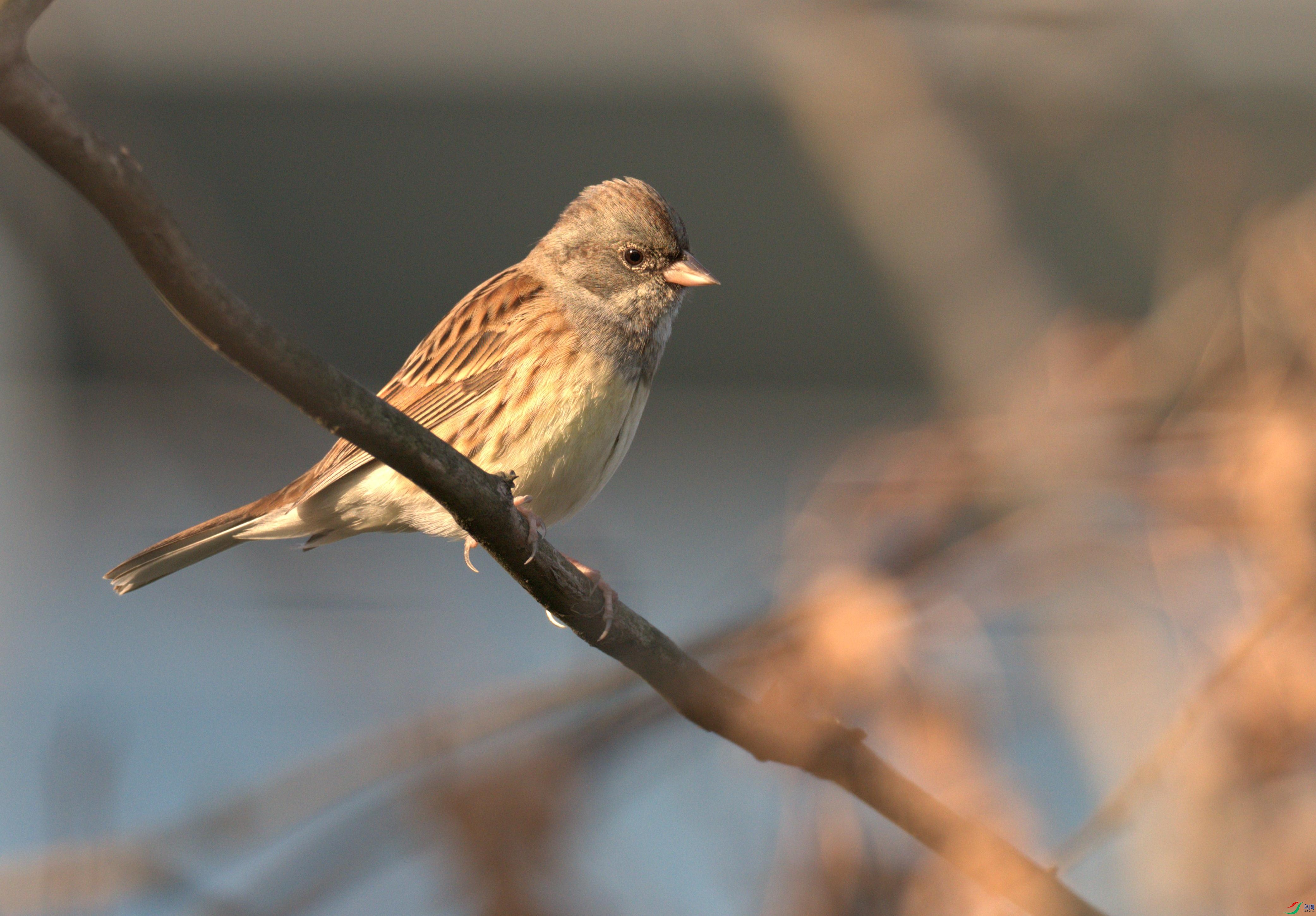 300mm��ͷ����