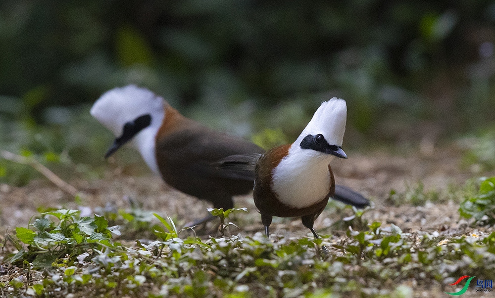 �׹����B (2).jpg