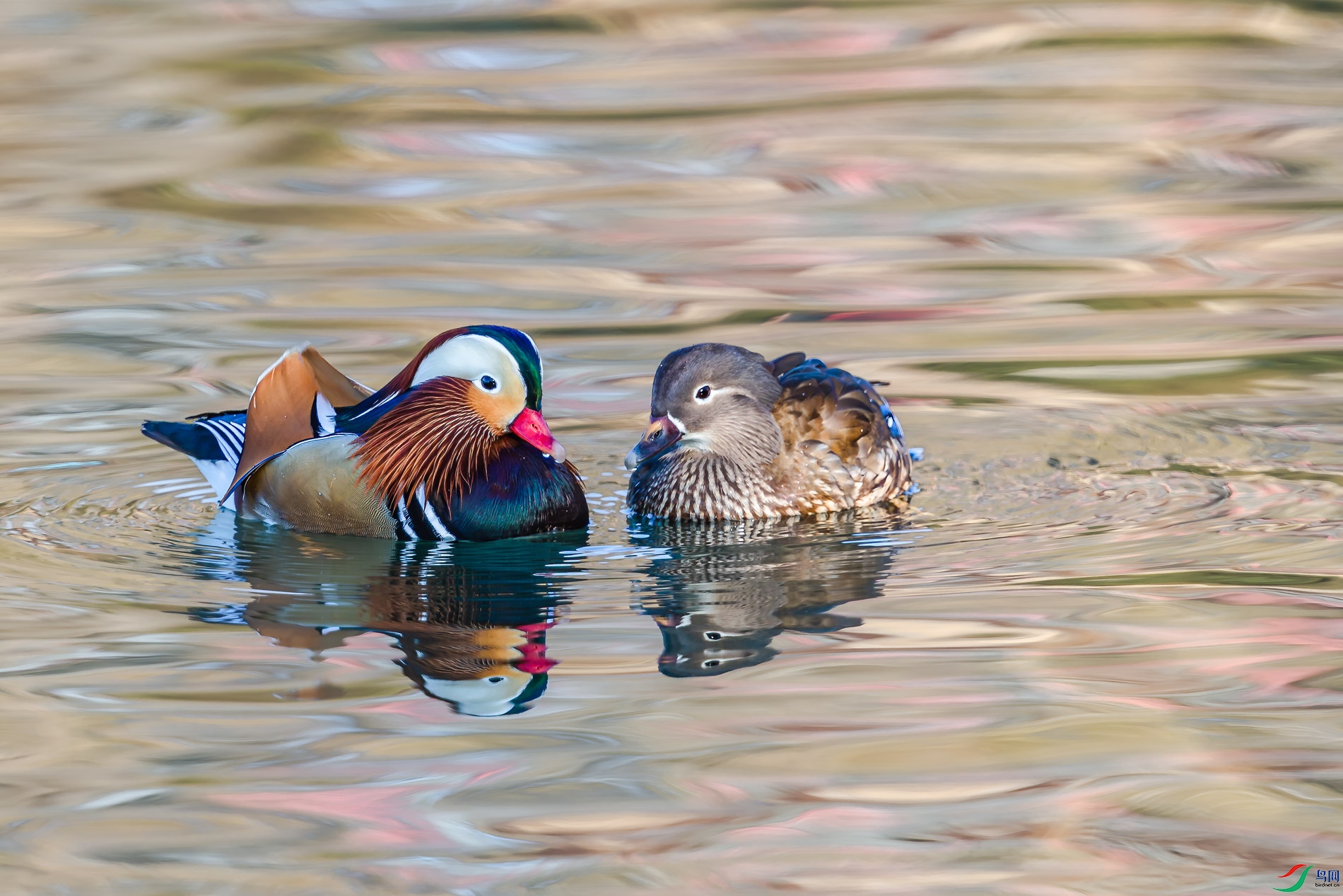 AQ4P0048-1.jpg