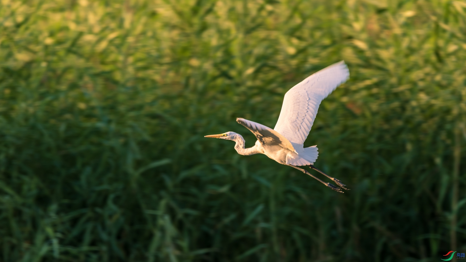 1δ����XXI2166-2 ����.jpeg