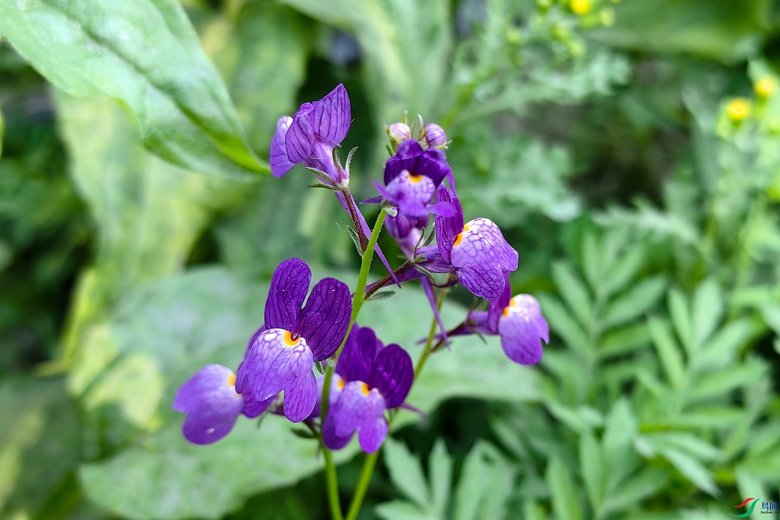 47Ħ�ɸ�������0.jpg