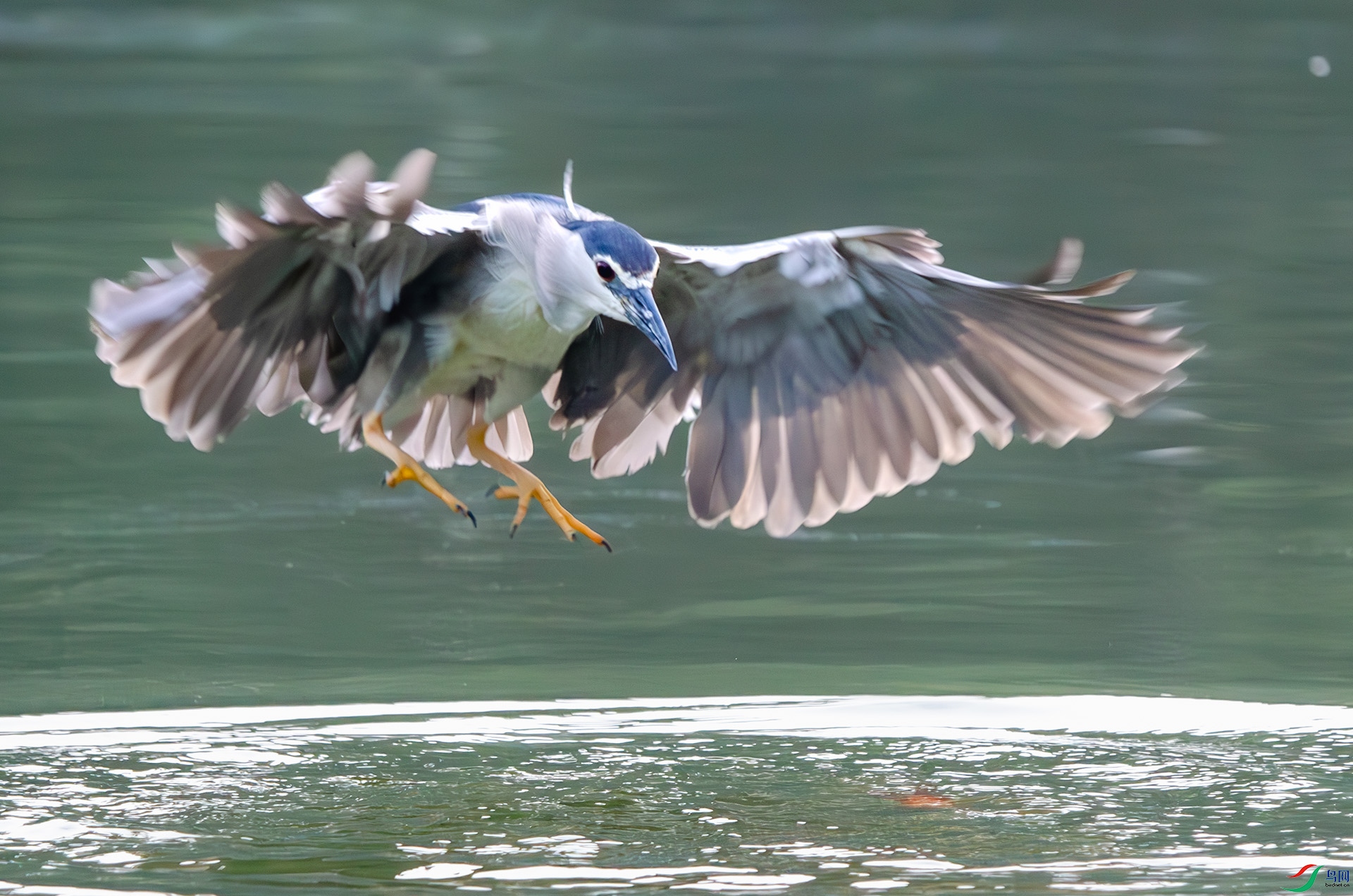 DSC_5074-����ǿ-NR ����.jpg