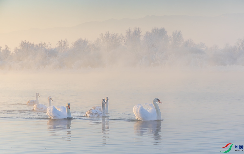 xjynR3241226 (1326)-����ǿ-NR.jpg