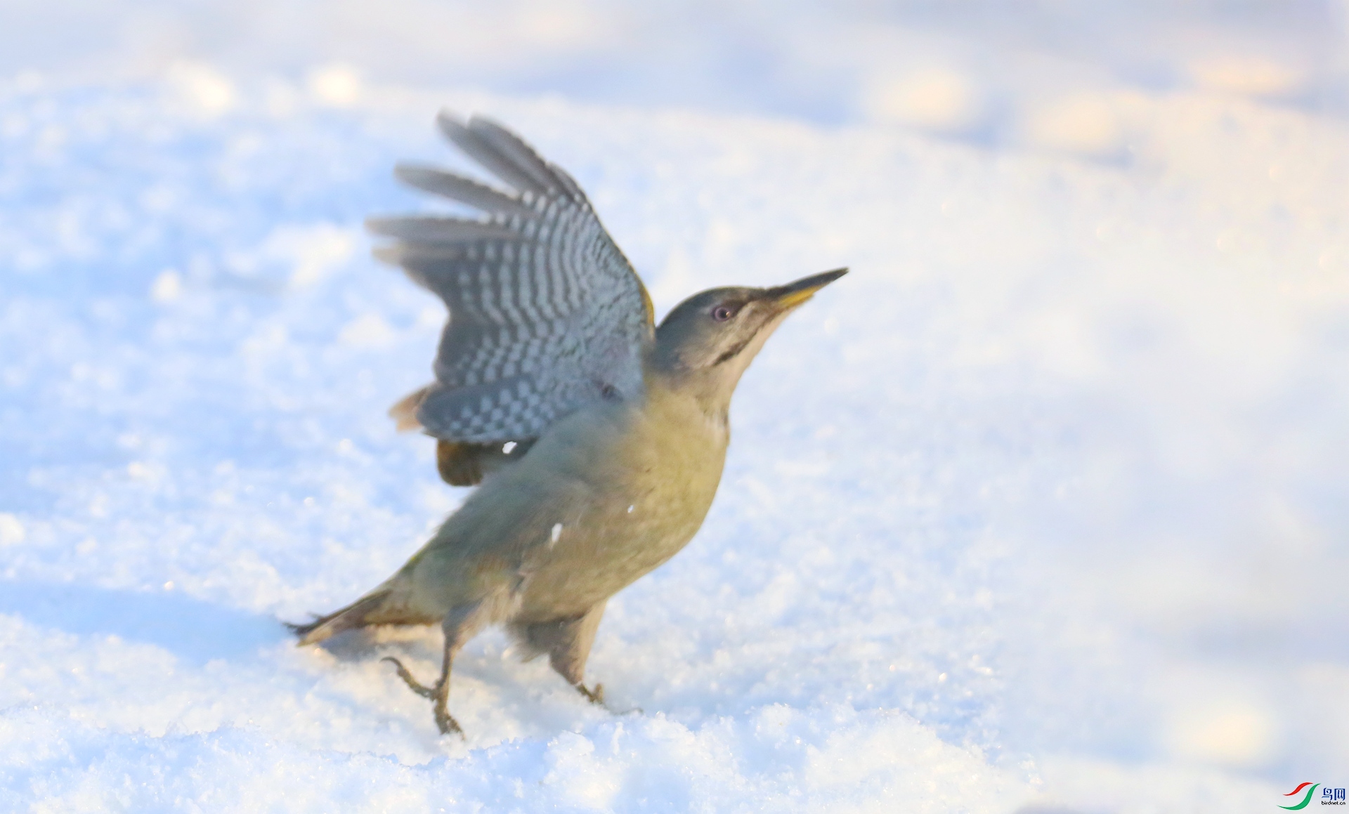 0G1A1092 ����.jpg