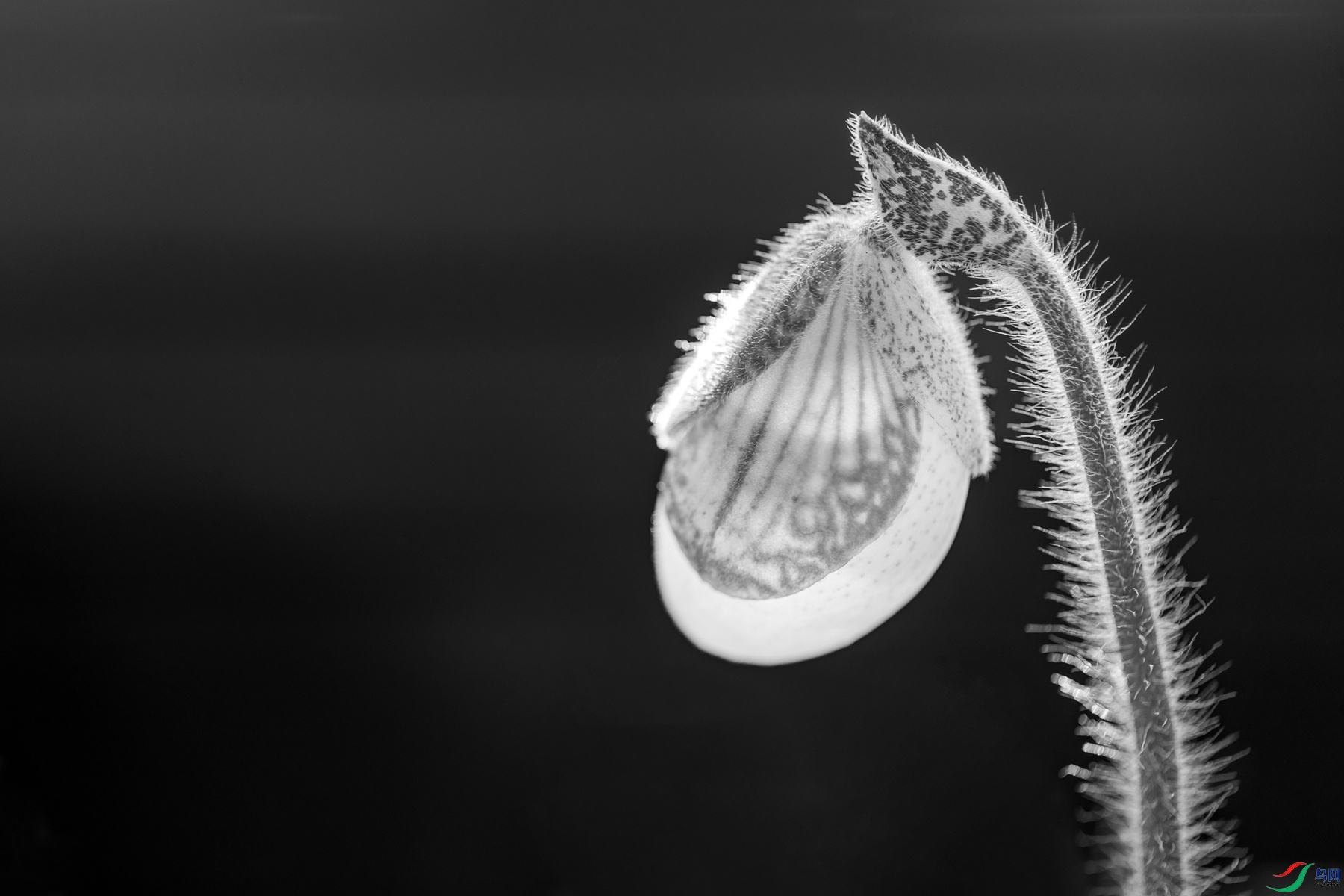 BF1I6124 ����_����.jpg