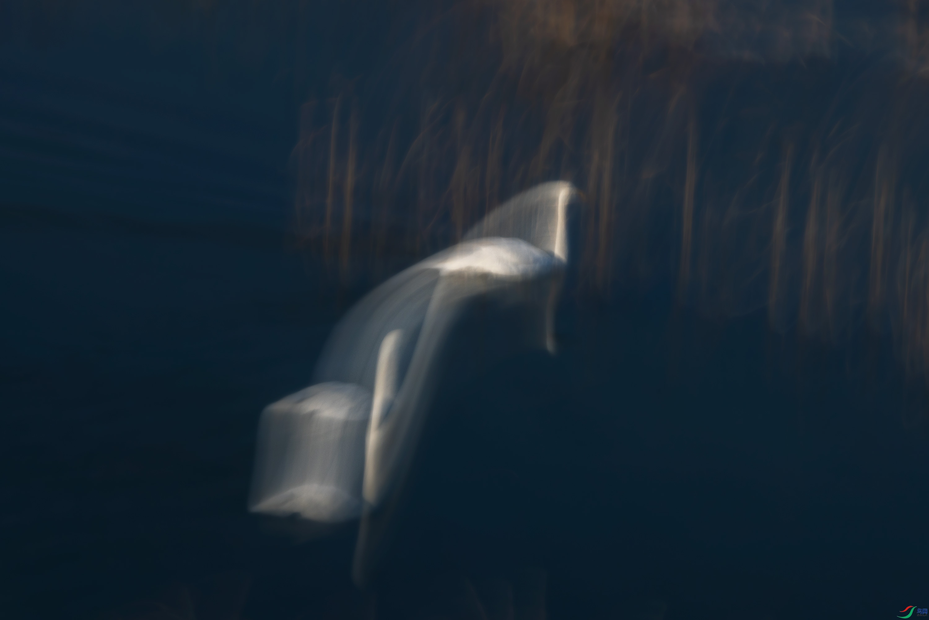 278A7901.jpg