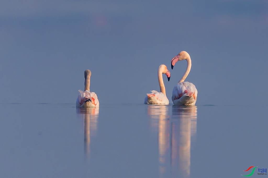 0F7A4938 ����.jpg