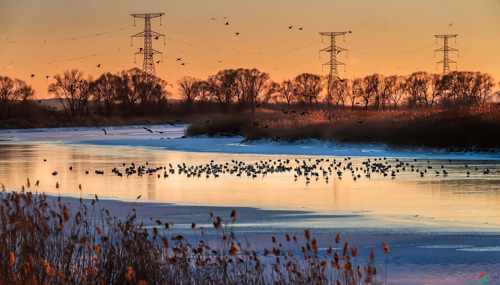 ����Ѽ������Ѽ