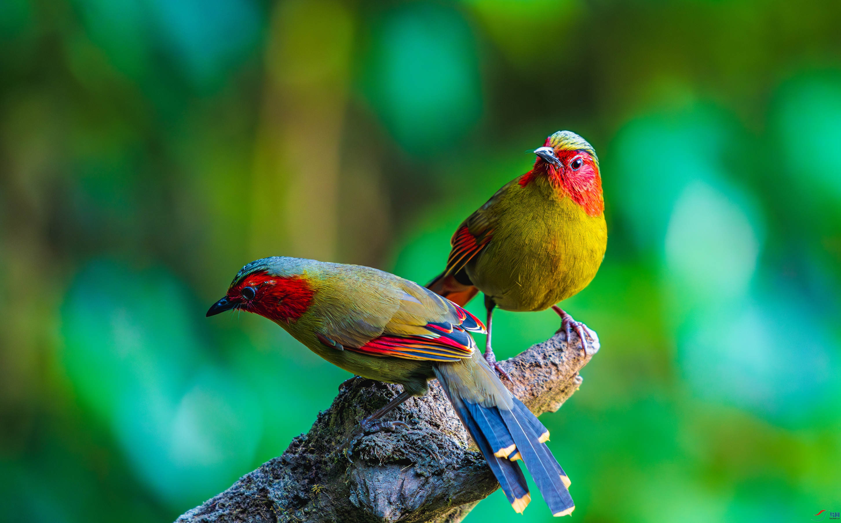 _DSC5610-����ǿ-NR_4.JPG