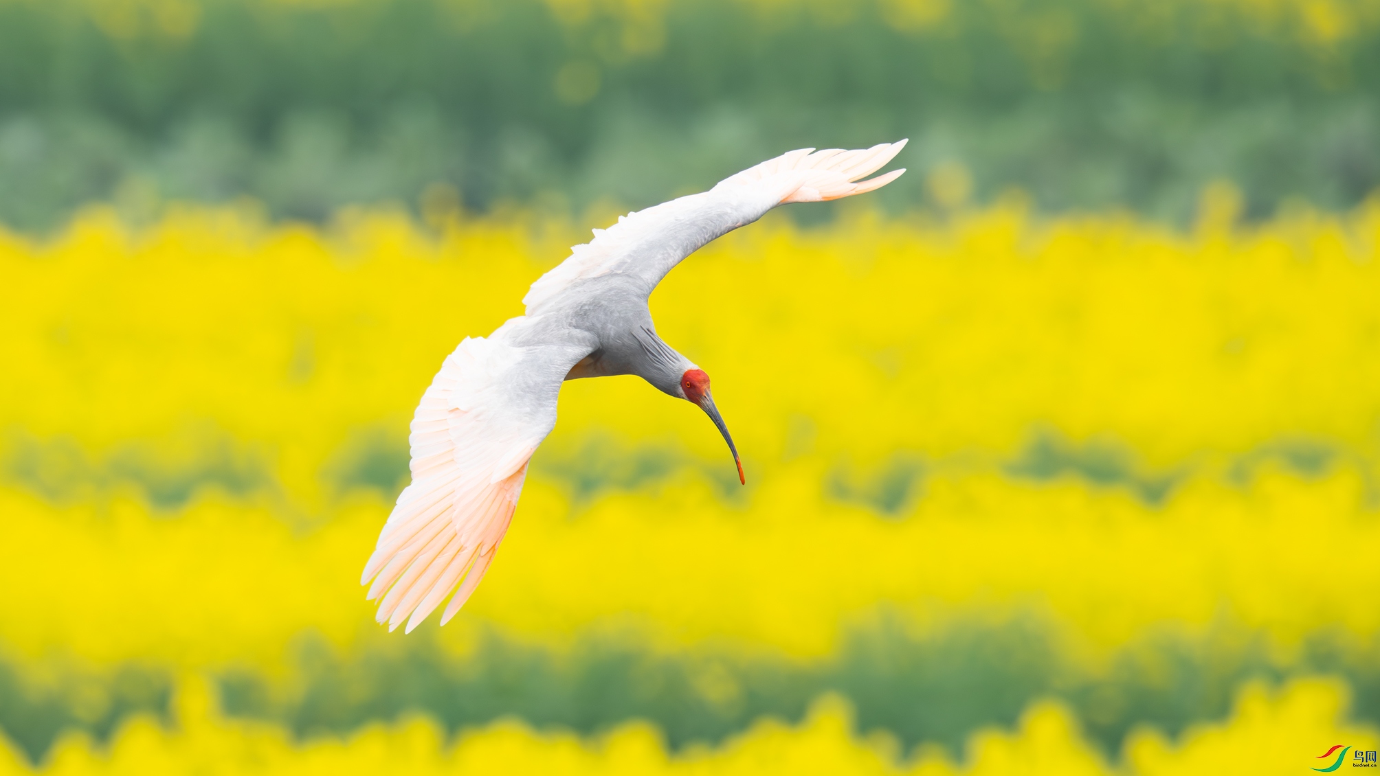 DSC_6508_���q�Ľ�ɫ֮�� ����2.jpg