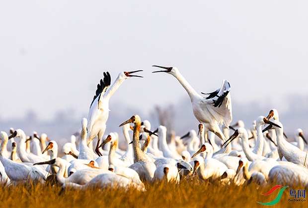 1B5A5986 ���� 3.jpg