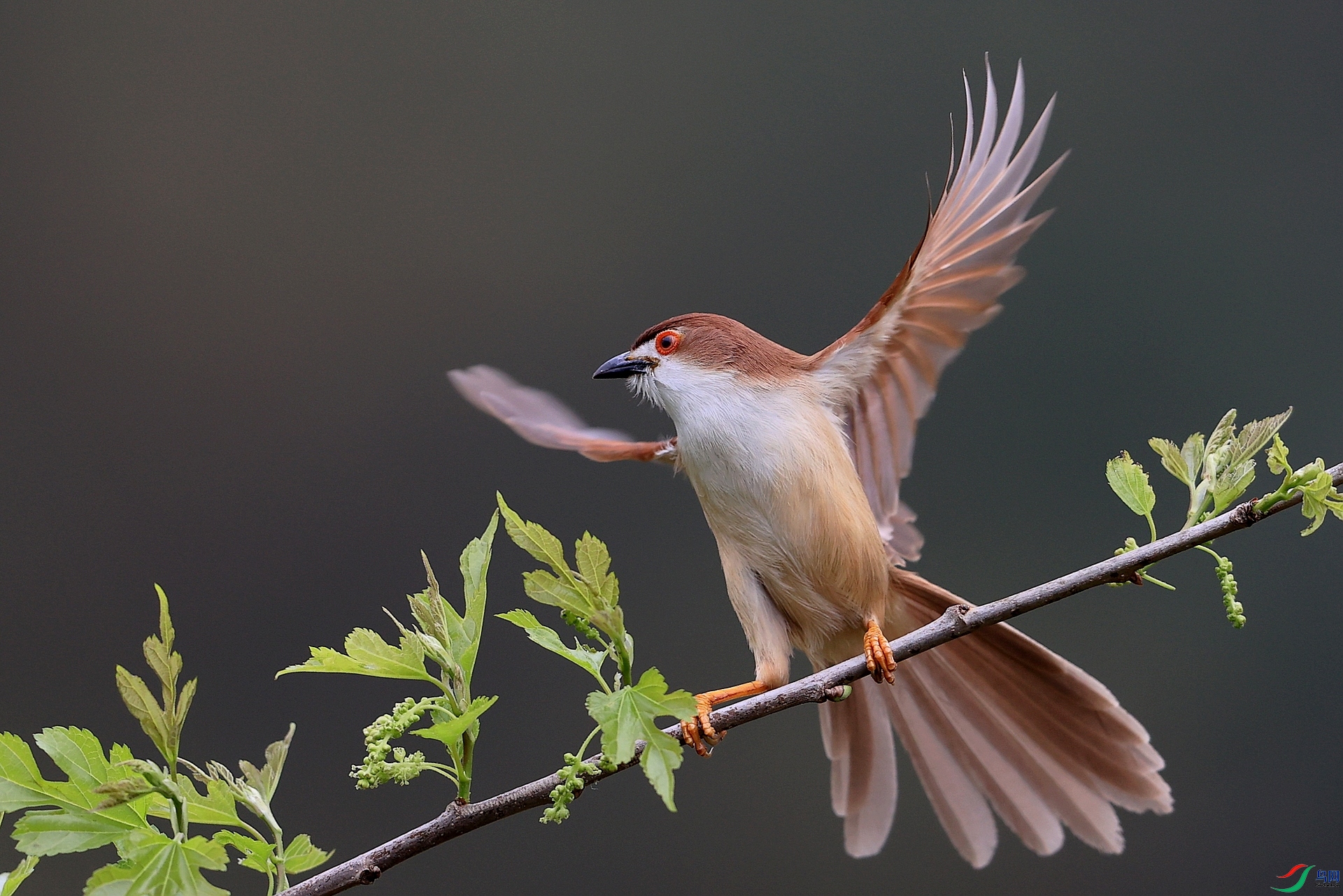 ����AK1I1348�� ��������������.JPG