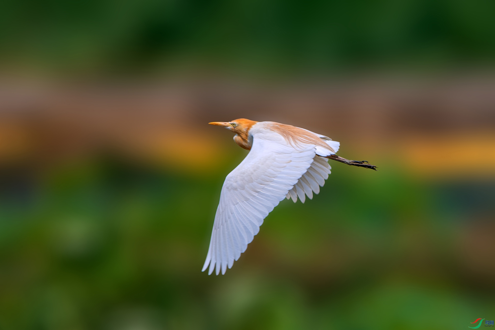 _AUU3922ţ����(24.5.12).jpg