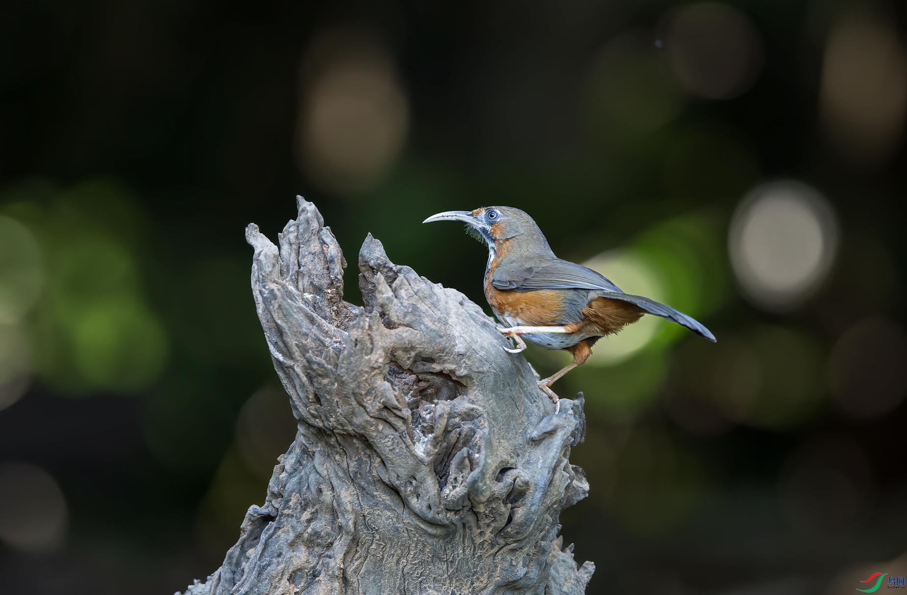 _DSC9789-NEF_DxO_DeepPRIME-1.jpg