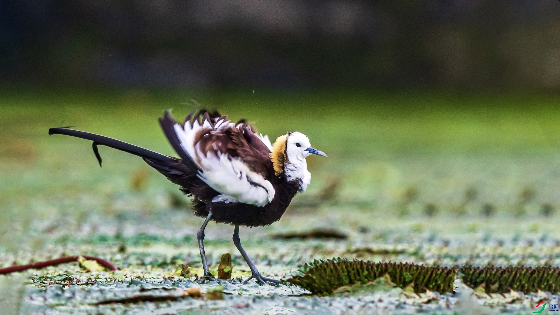 1-5 �����ĸ���.jpeg