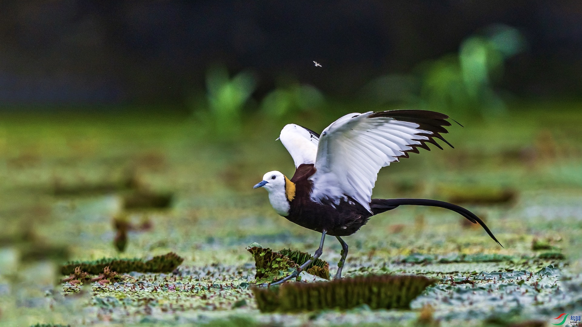 1-58 ����.jpeg