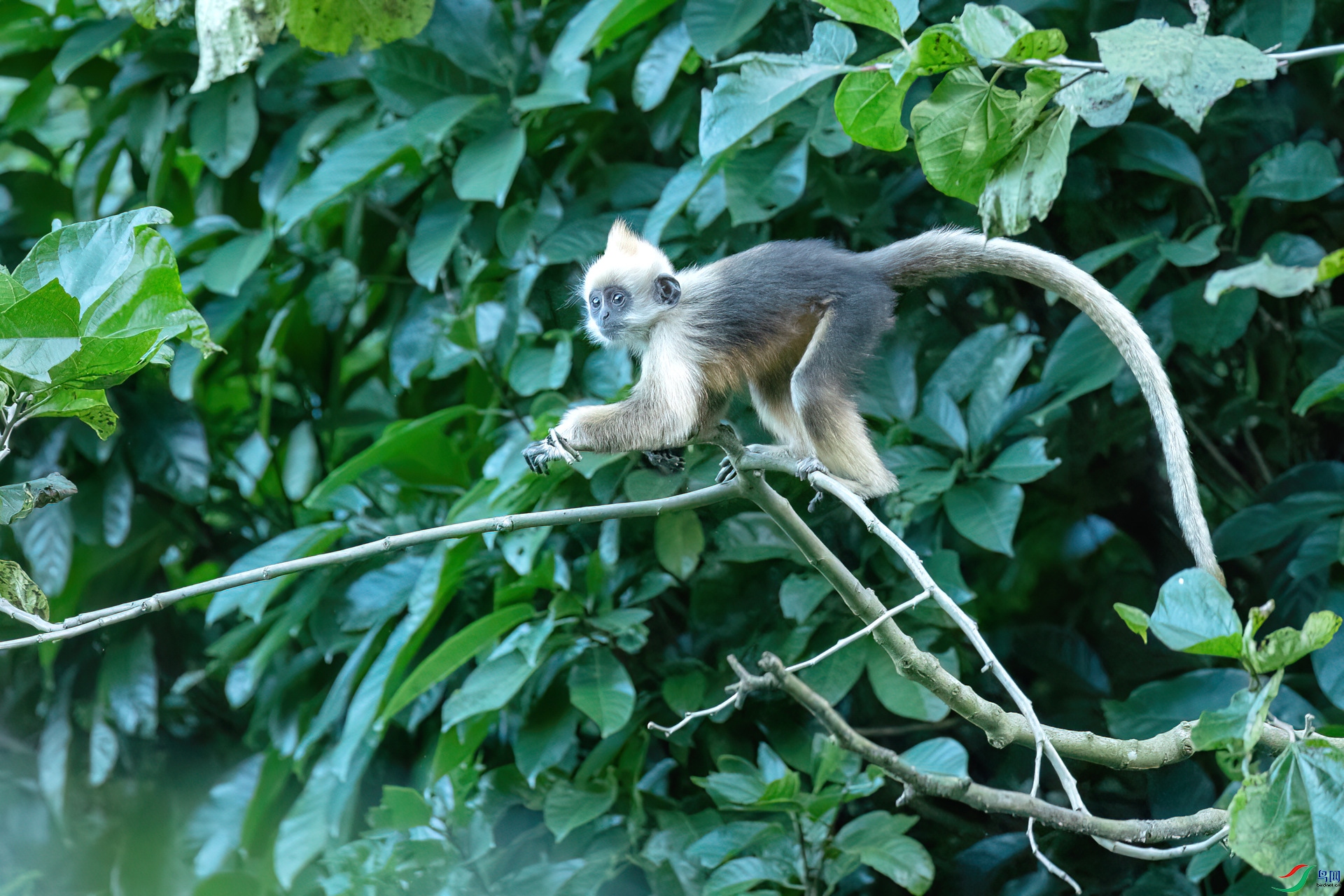 B86I3109 _����.jpg