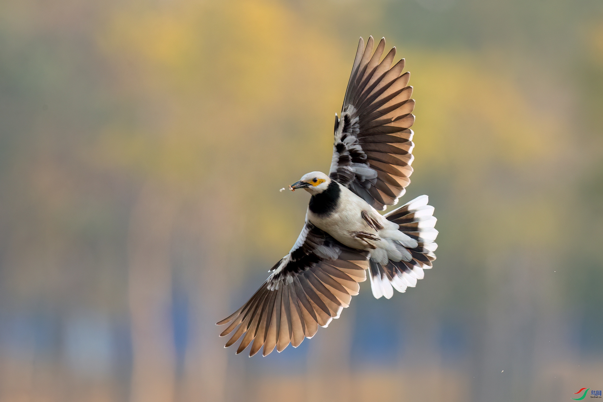 B86I7938 _����.jpg