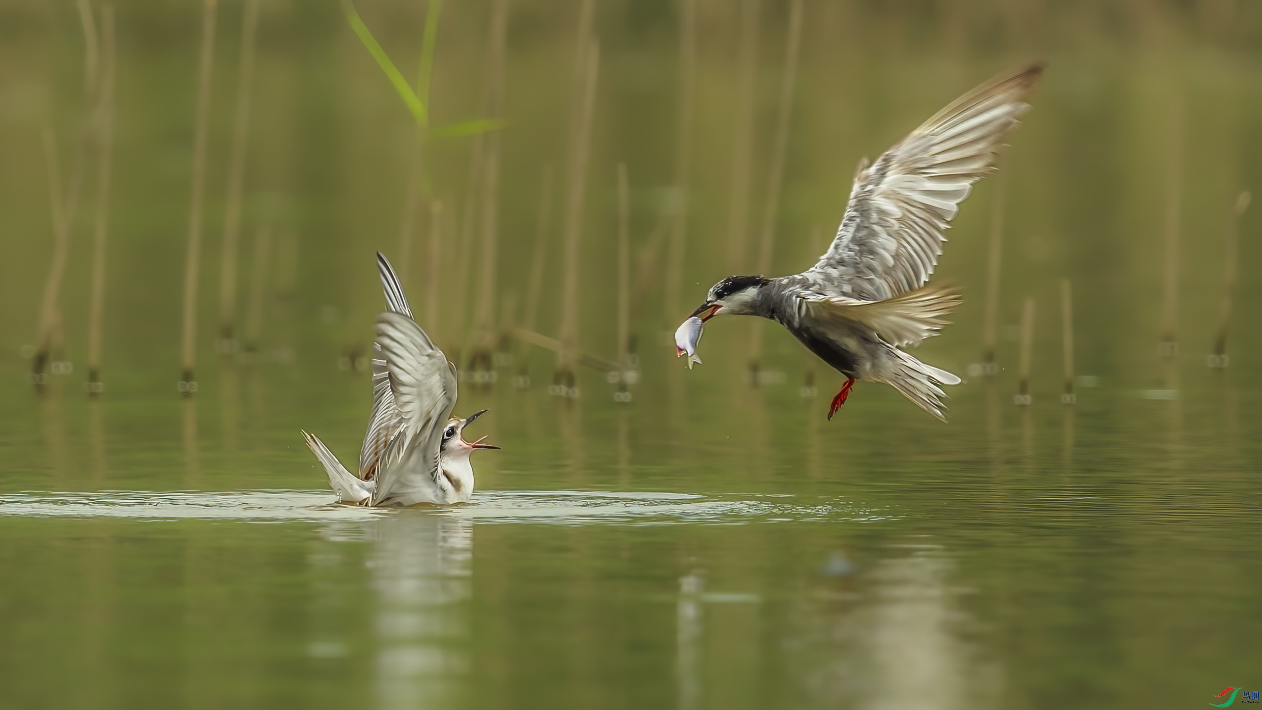 _09R2538 ����.jpg