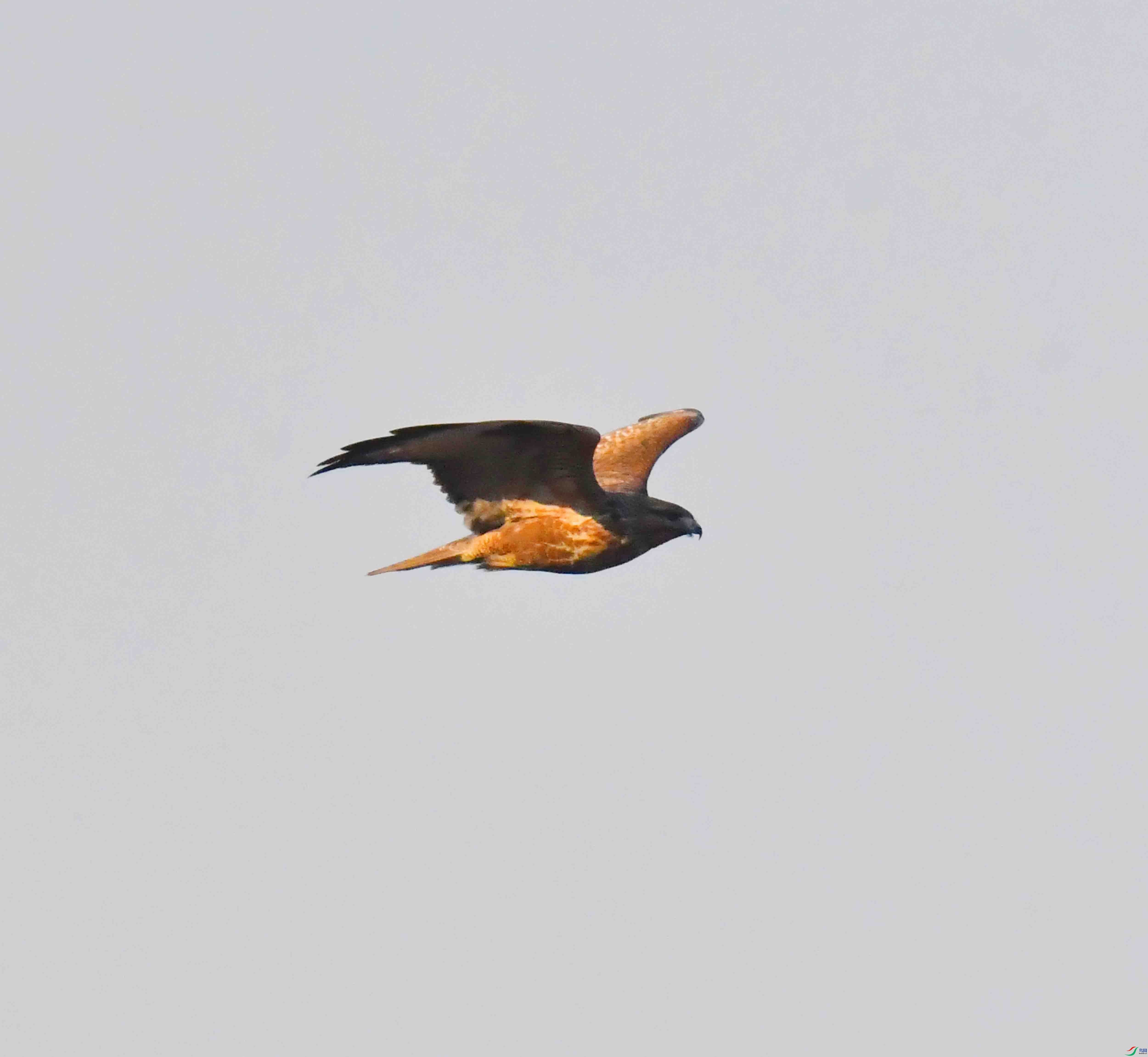 DSC_0086.JPG