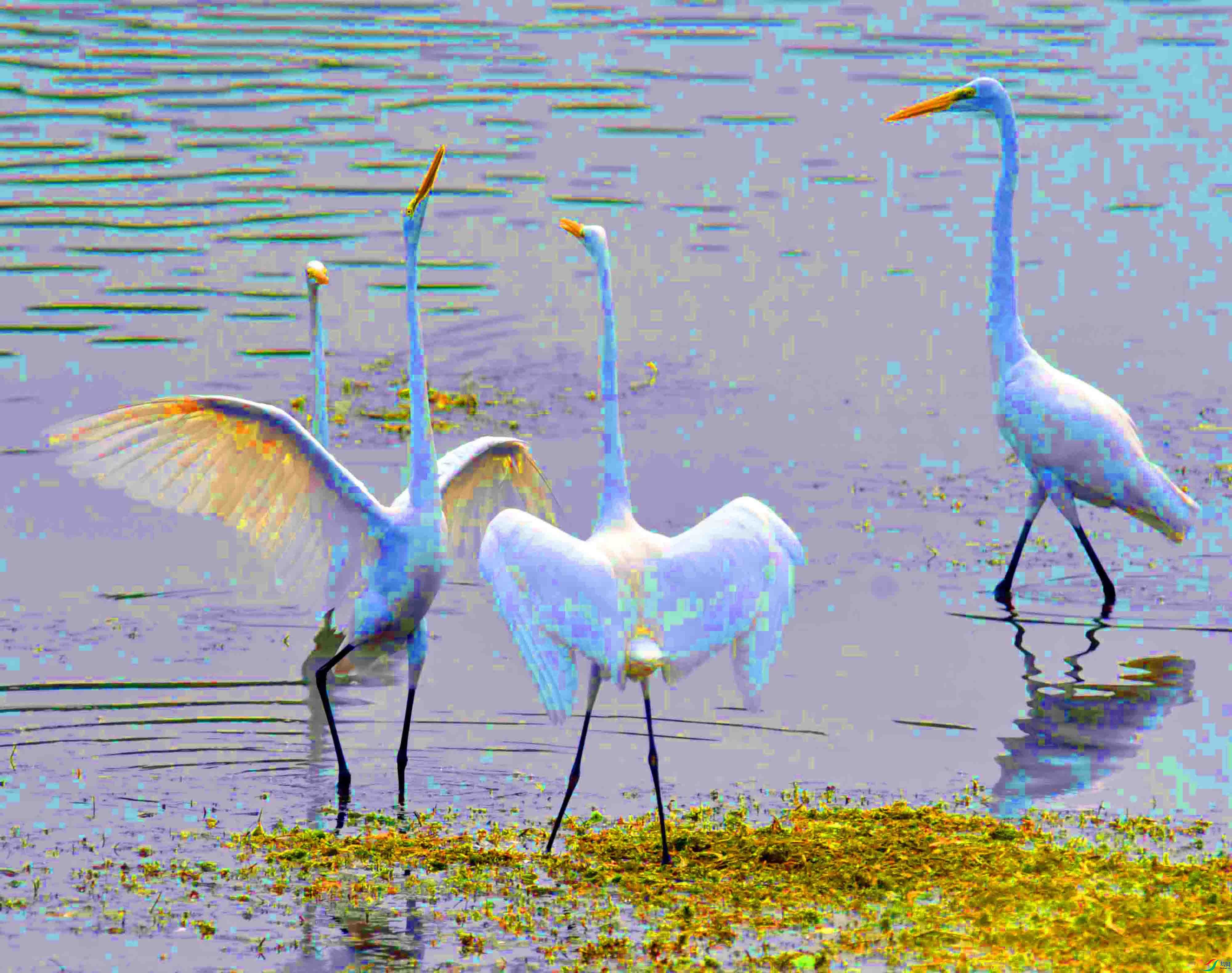 DSC_6860.JPG