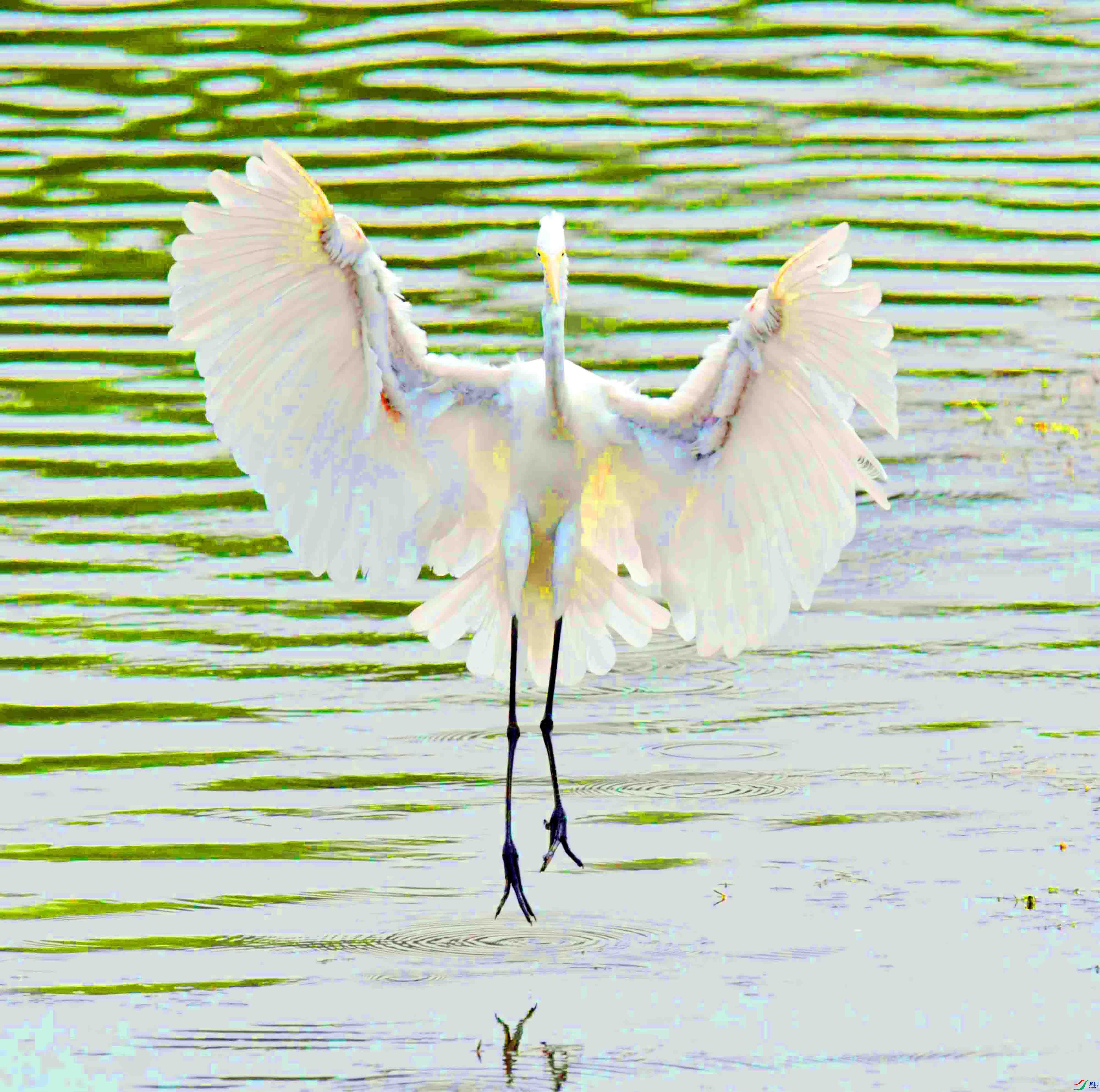 DSC_6896.JPG