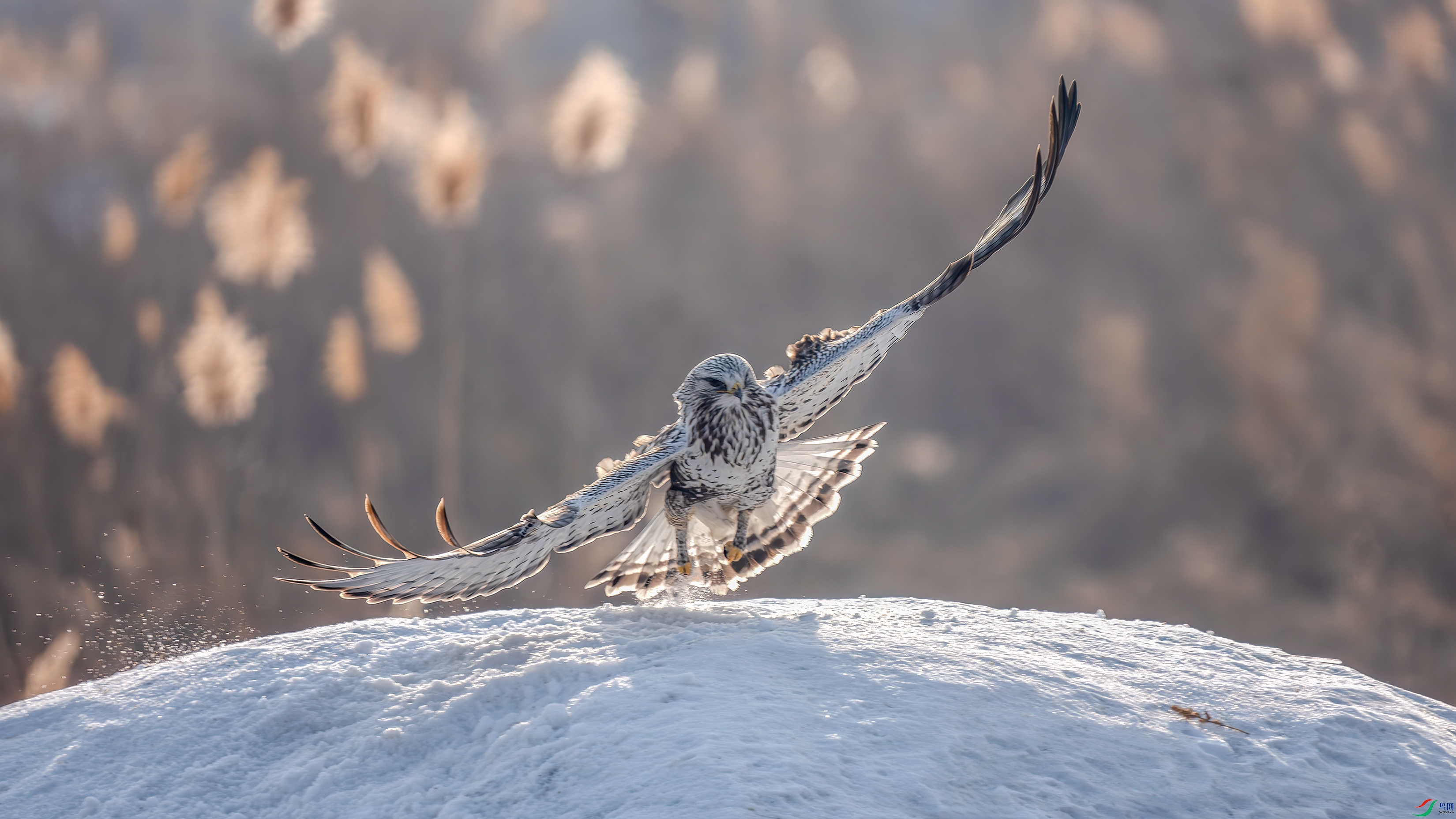 _DSC7983 ����.jpg