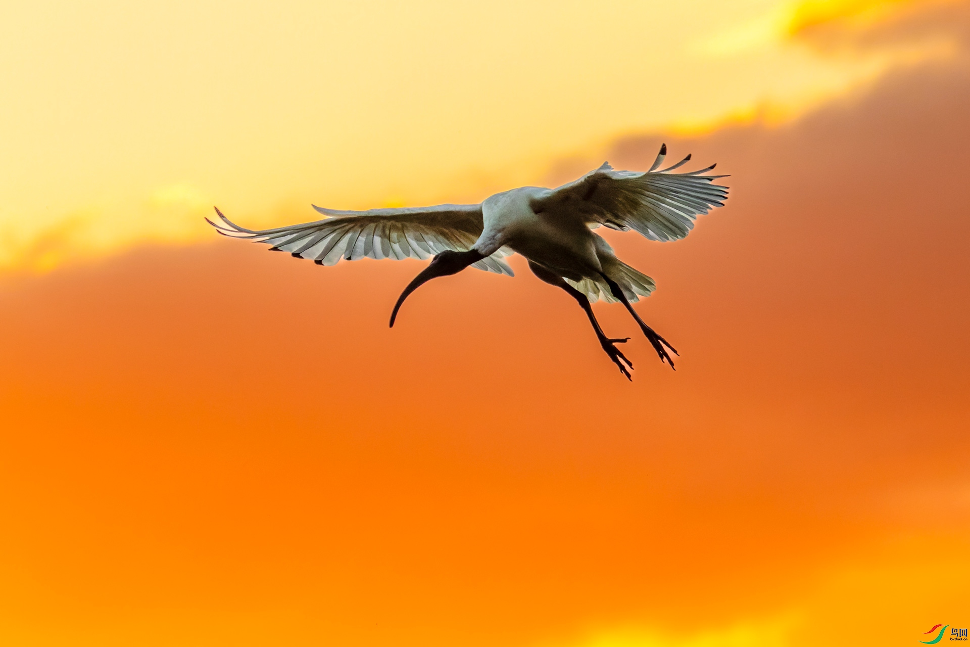 _00A8511-CR2_DxO_DeepPRIME.jpg