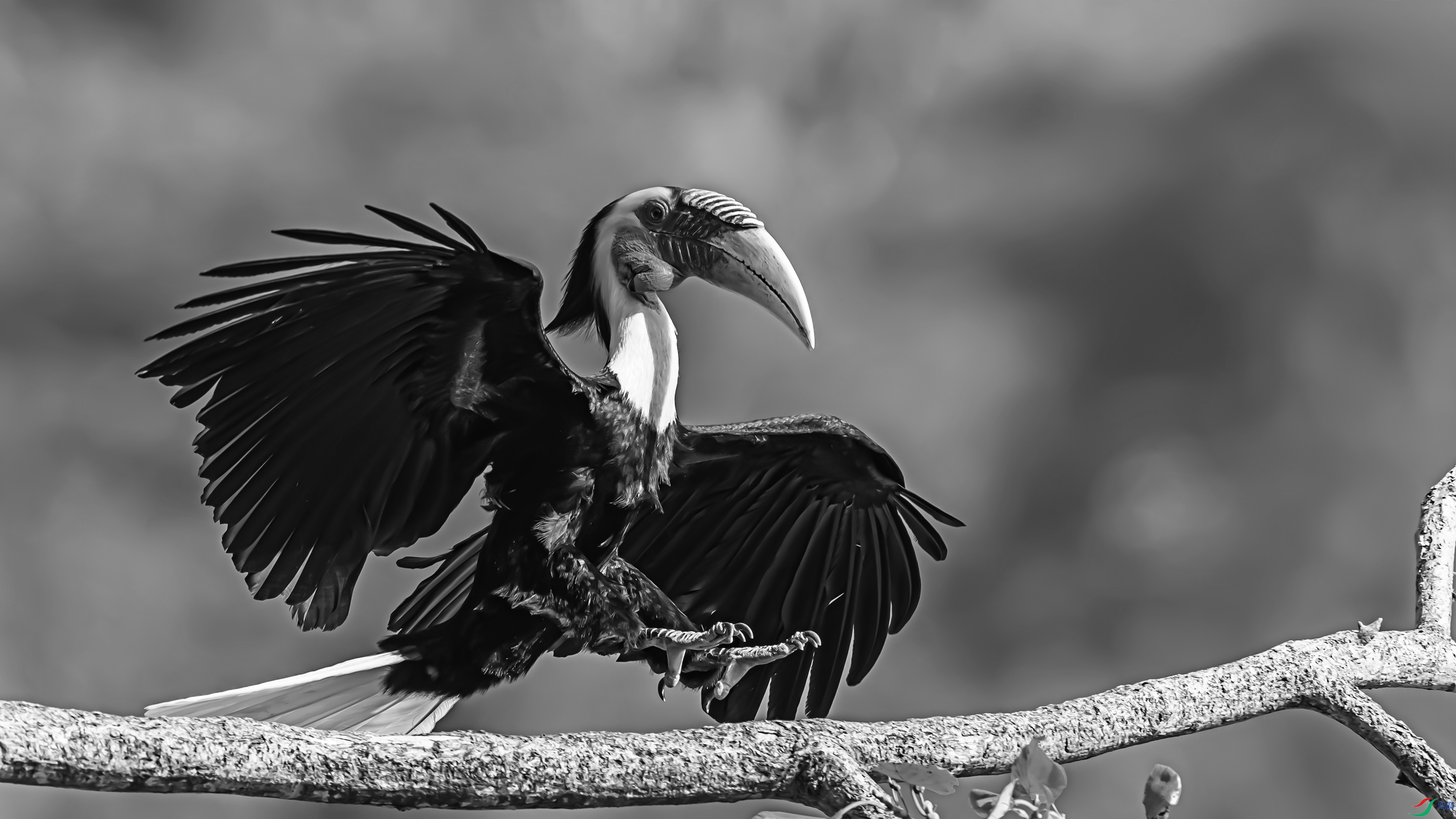 9259-1 ����.jpg