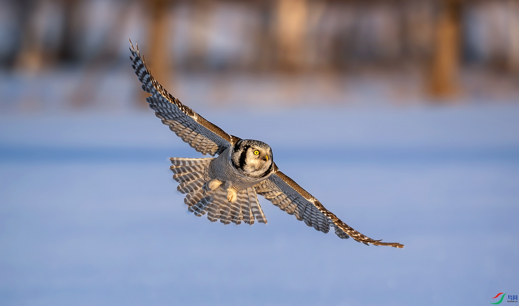 DSC_0917-����ǿ-NR ���� 2.jpg