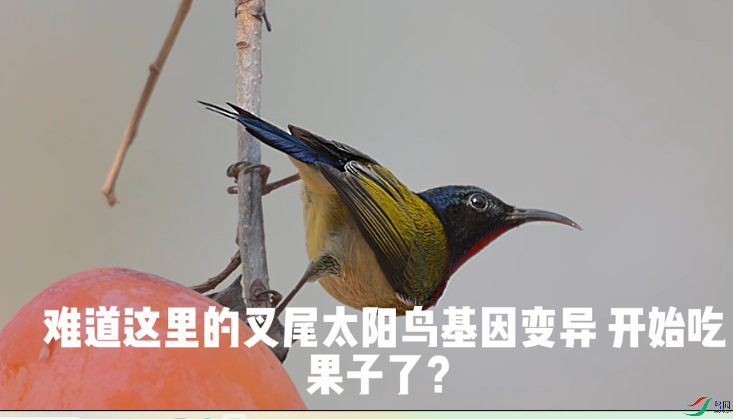 {89BE3DEB-1FD0-4E30-AD95-E114FE8E0DD3} ����.png