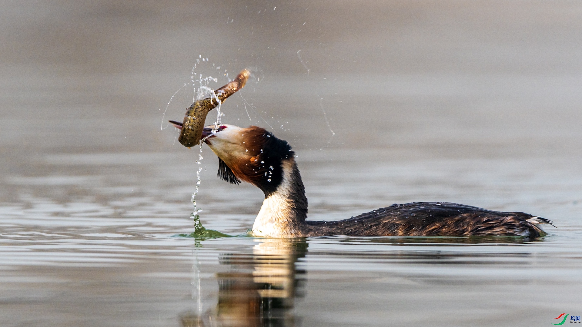 1_XXI1882 ����.jpeg