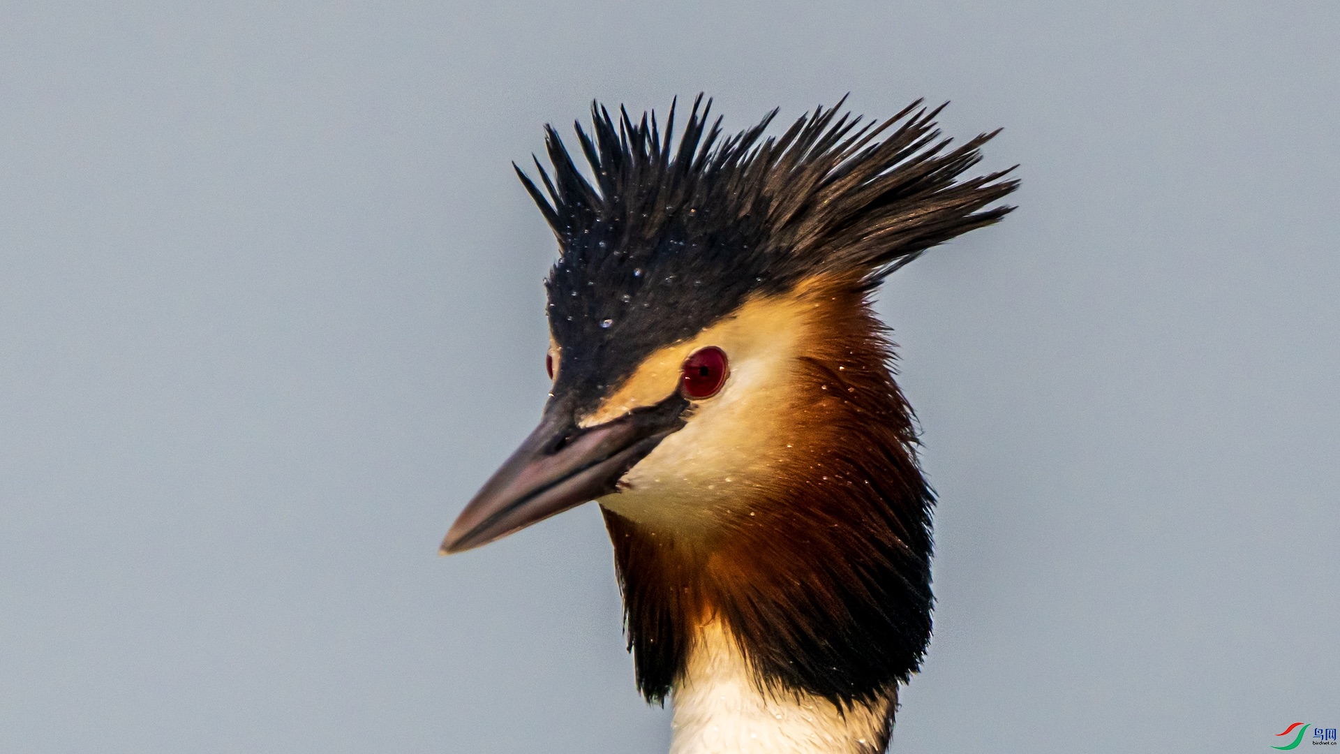 1_XXI2050 ����.jpeg