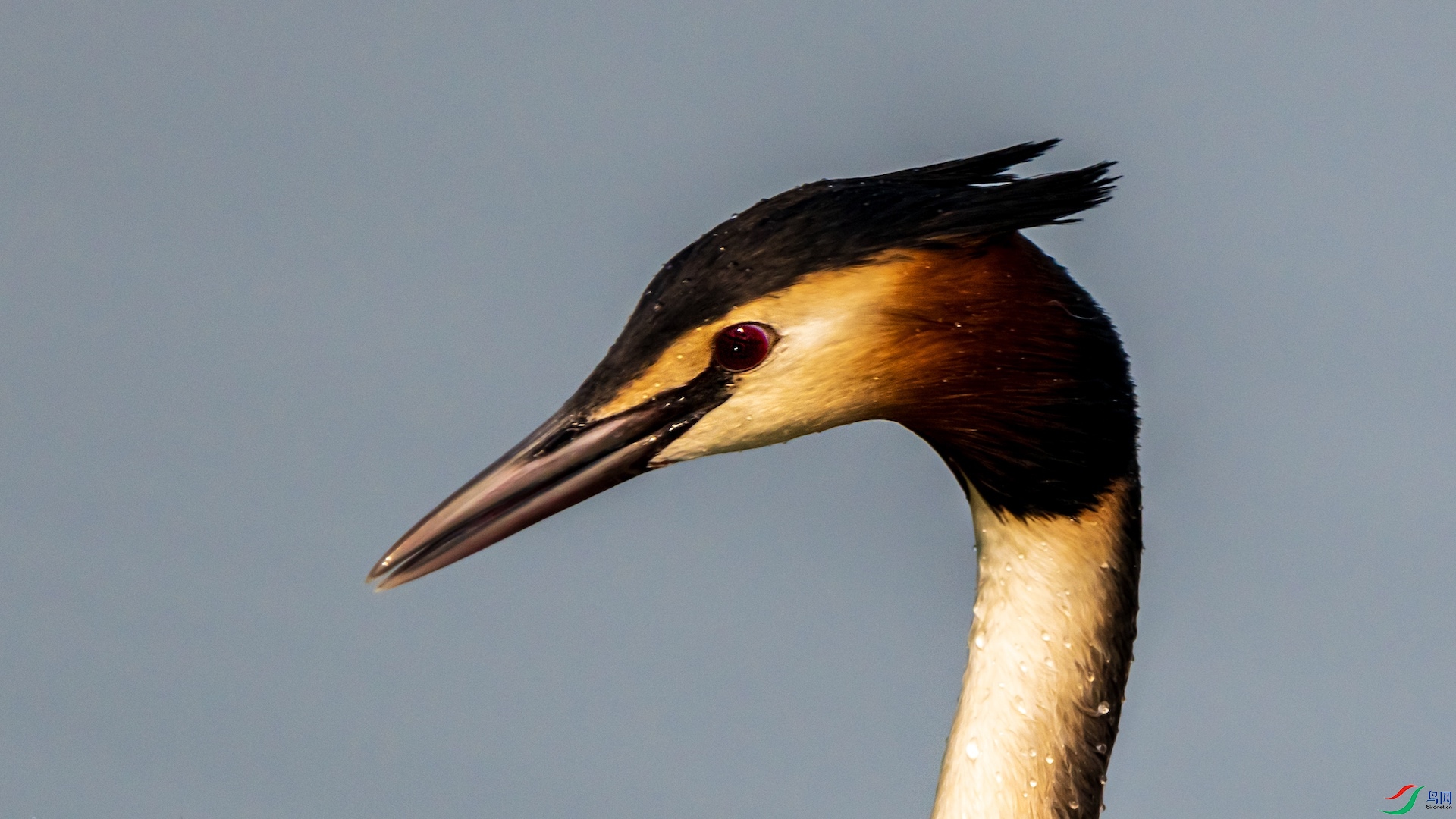 1_XXI2054 ����.jpeg